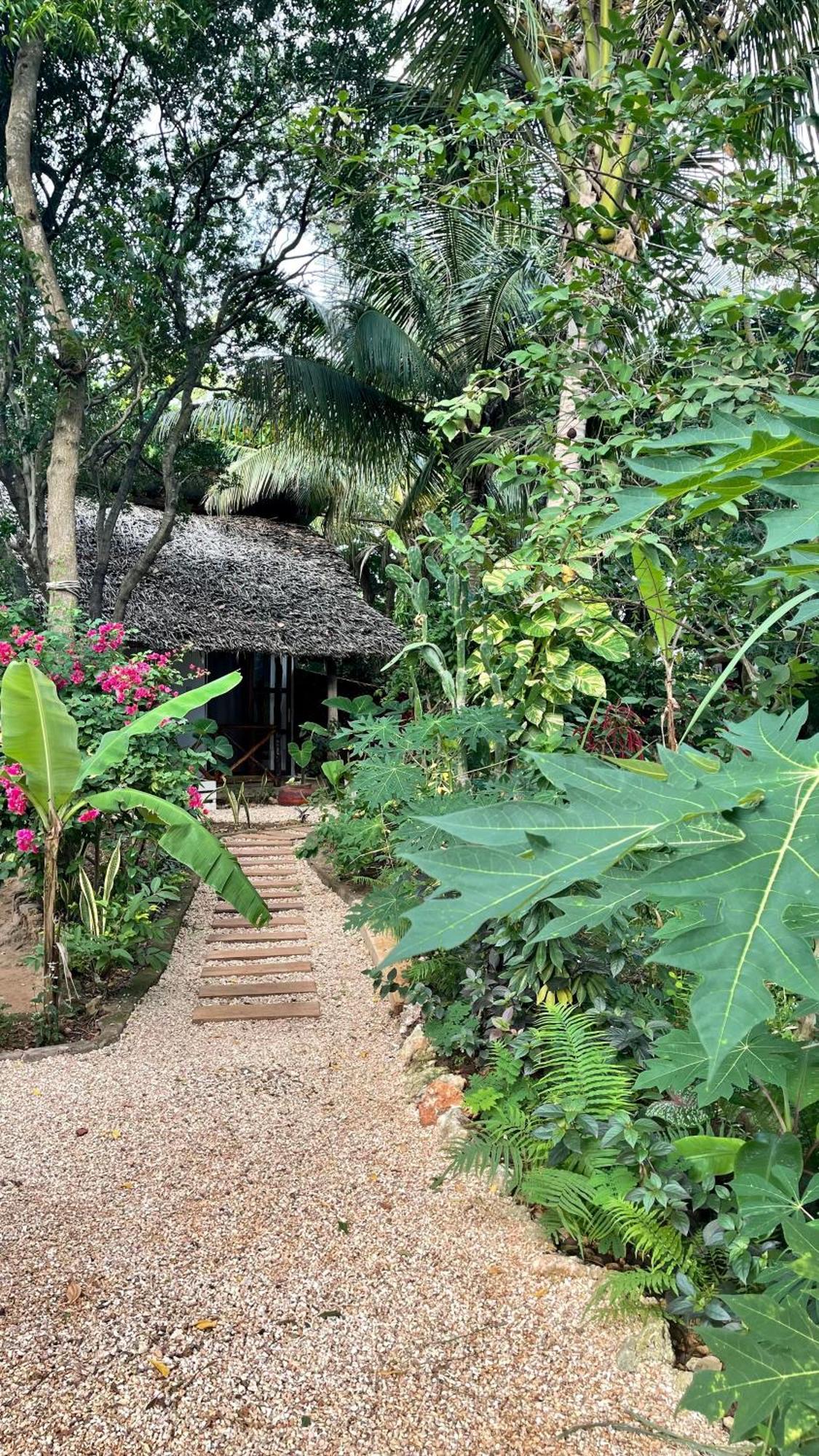Atii Garden 2*