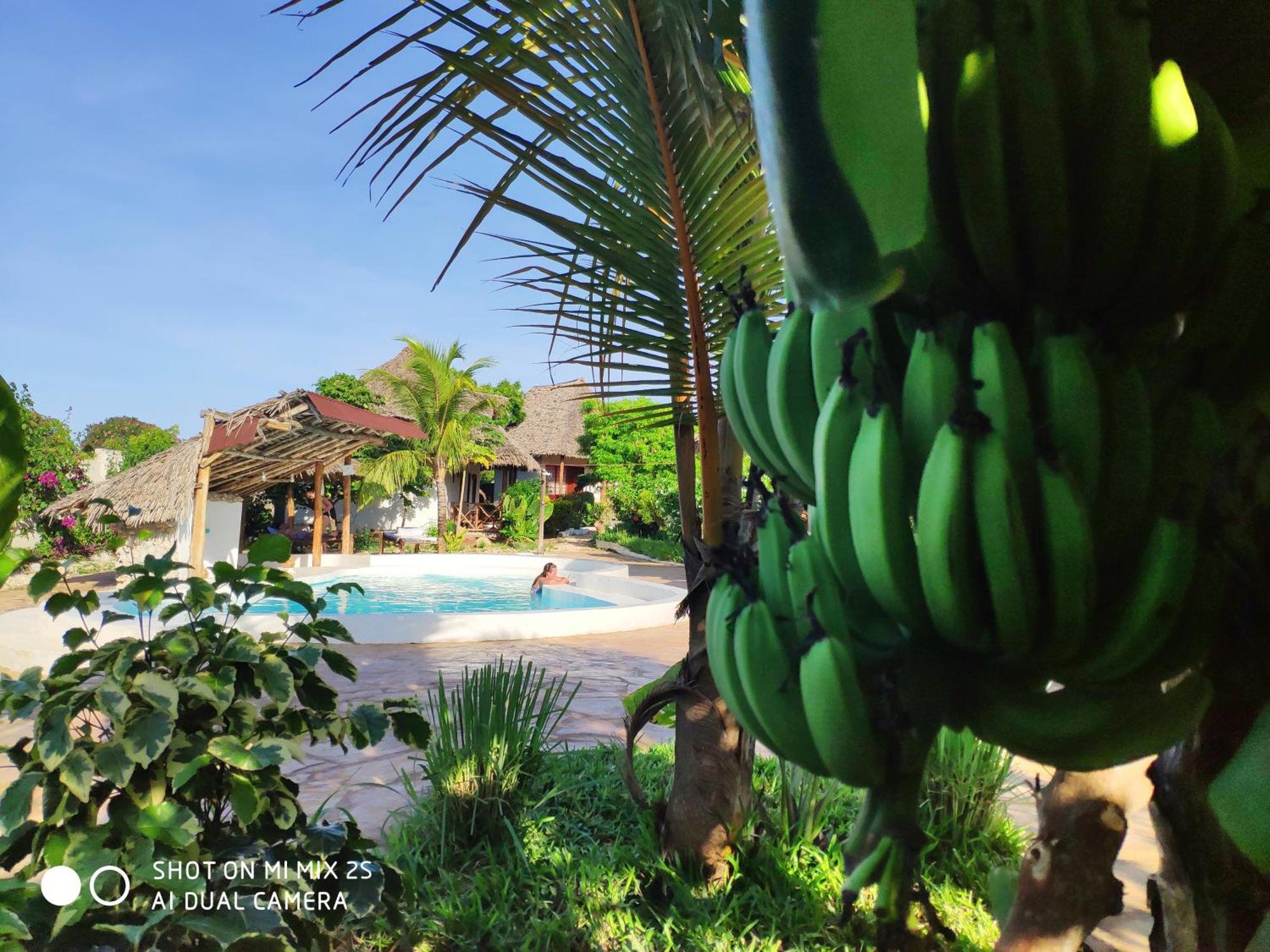 Hotel Mawimbi Nungwi