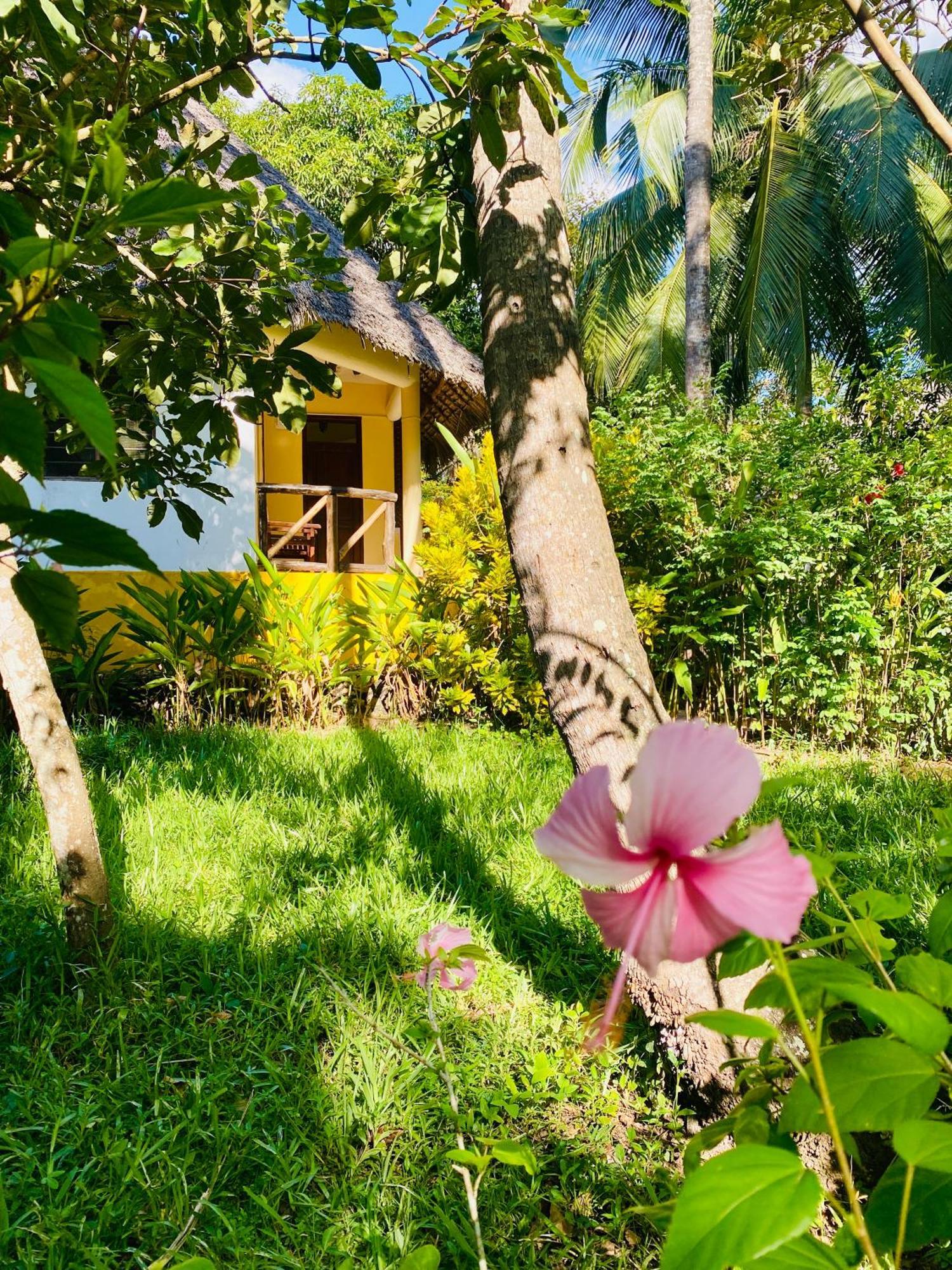 Mangrove Hotel