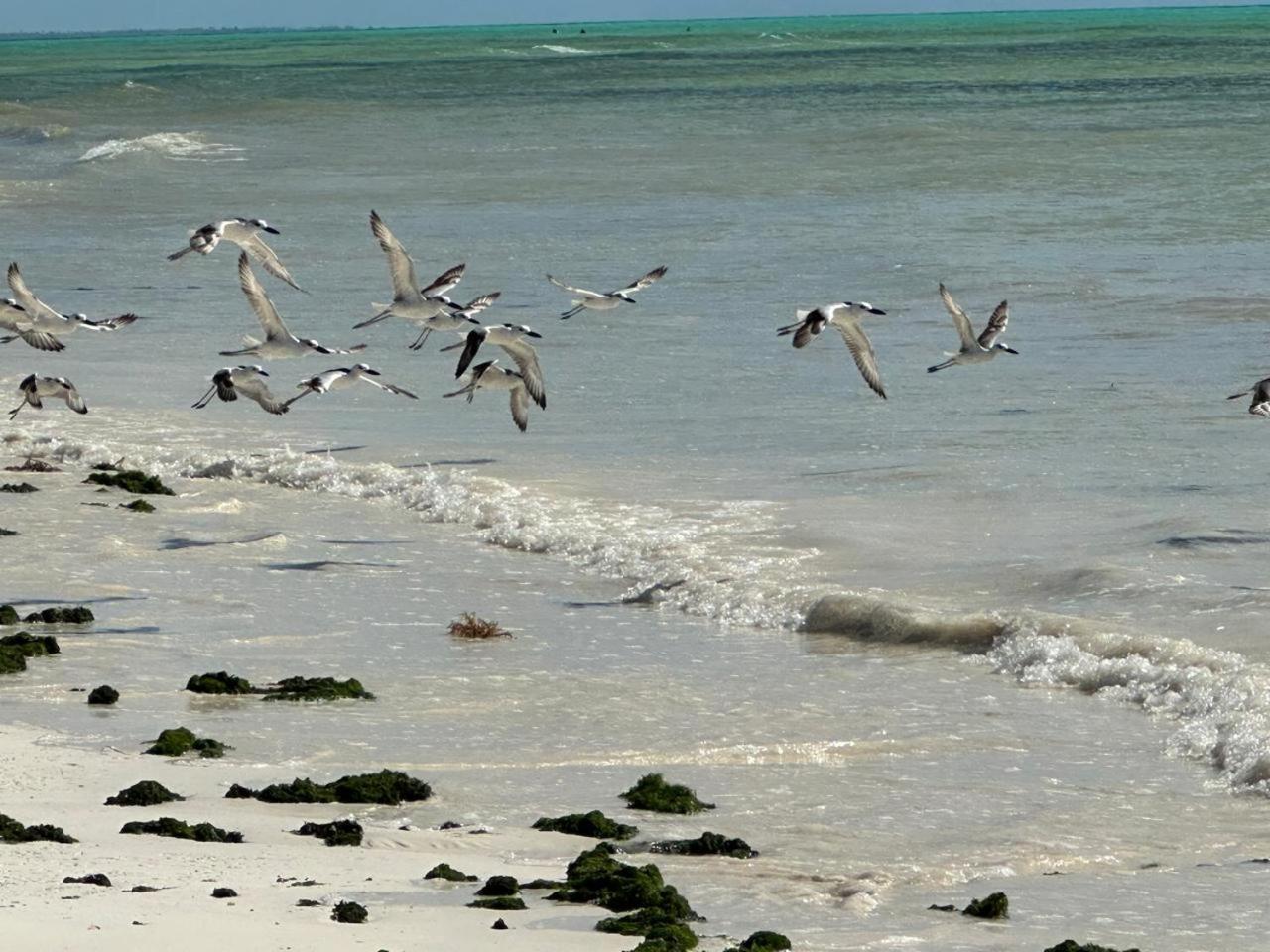 Resort Serenity, Tanzania Unforgettable 4*