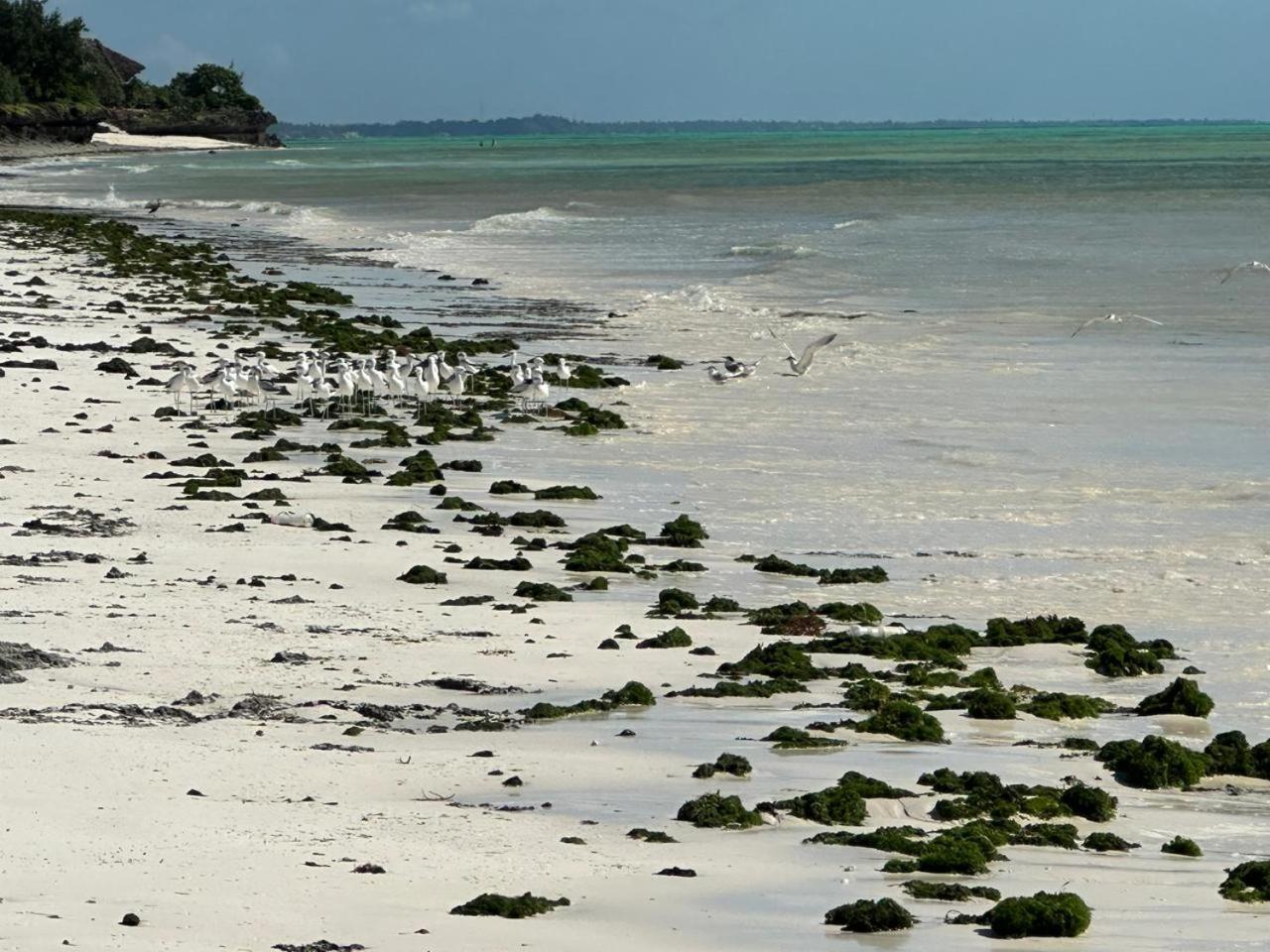 Serenity, Tanzania Unforgettable 4* Paje