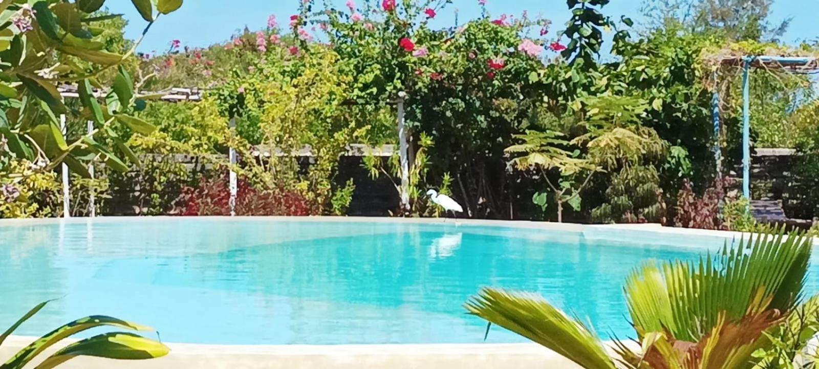 Matemwe Ocean View
