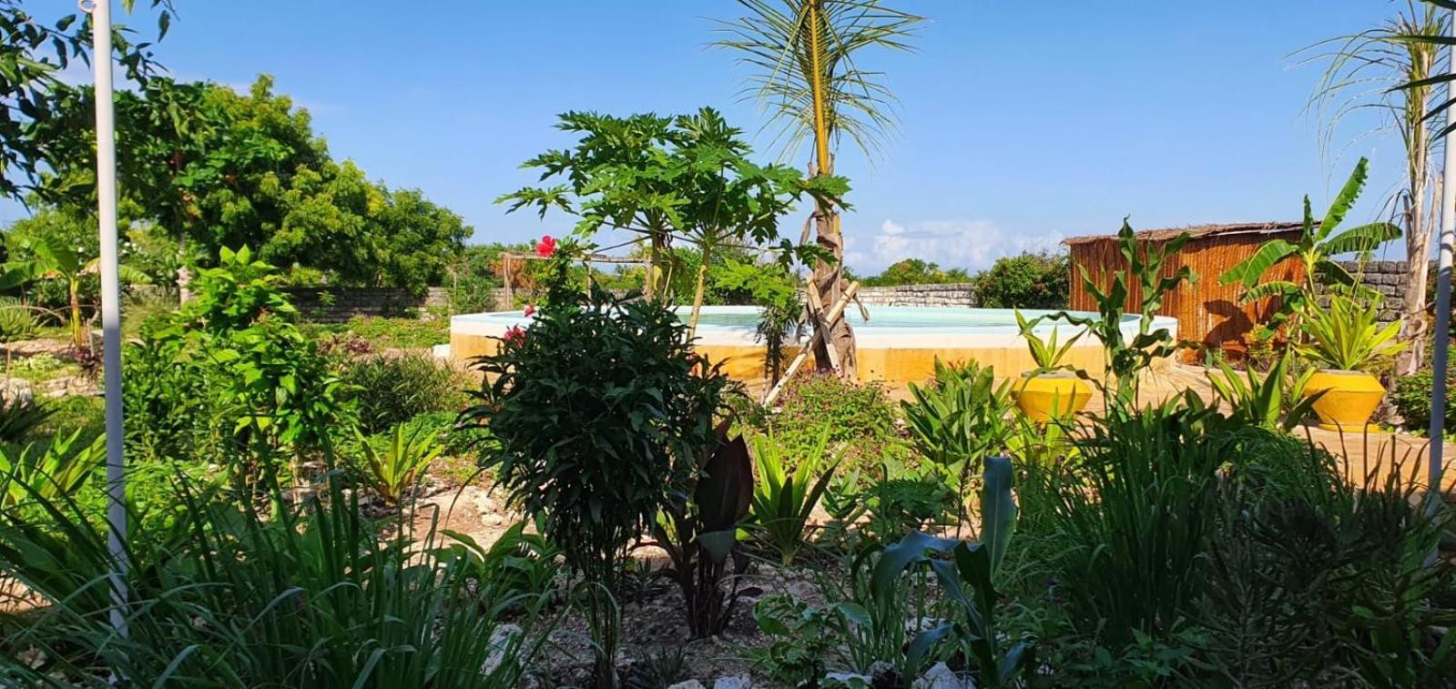 Matemwe Ocean View Apartment Matemwe (Zanzibar)