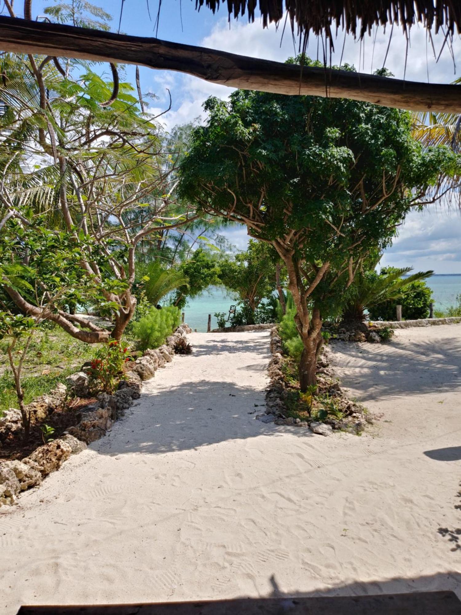 Afya Village At The Sea Lodge Michamvi Kae