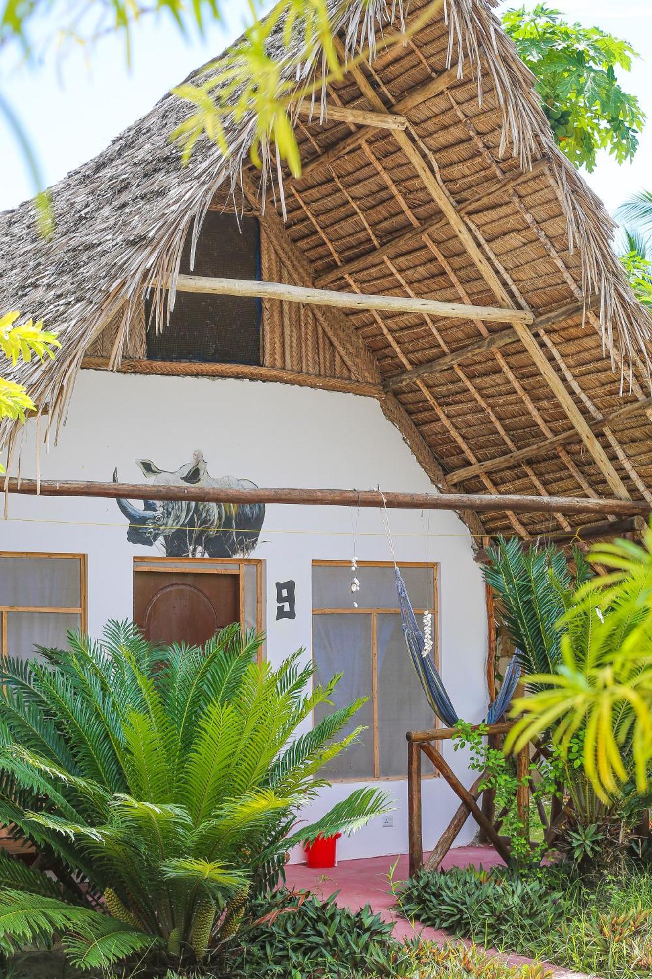 New Jambo Hostel
