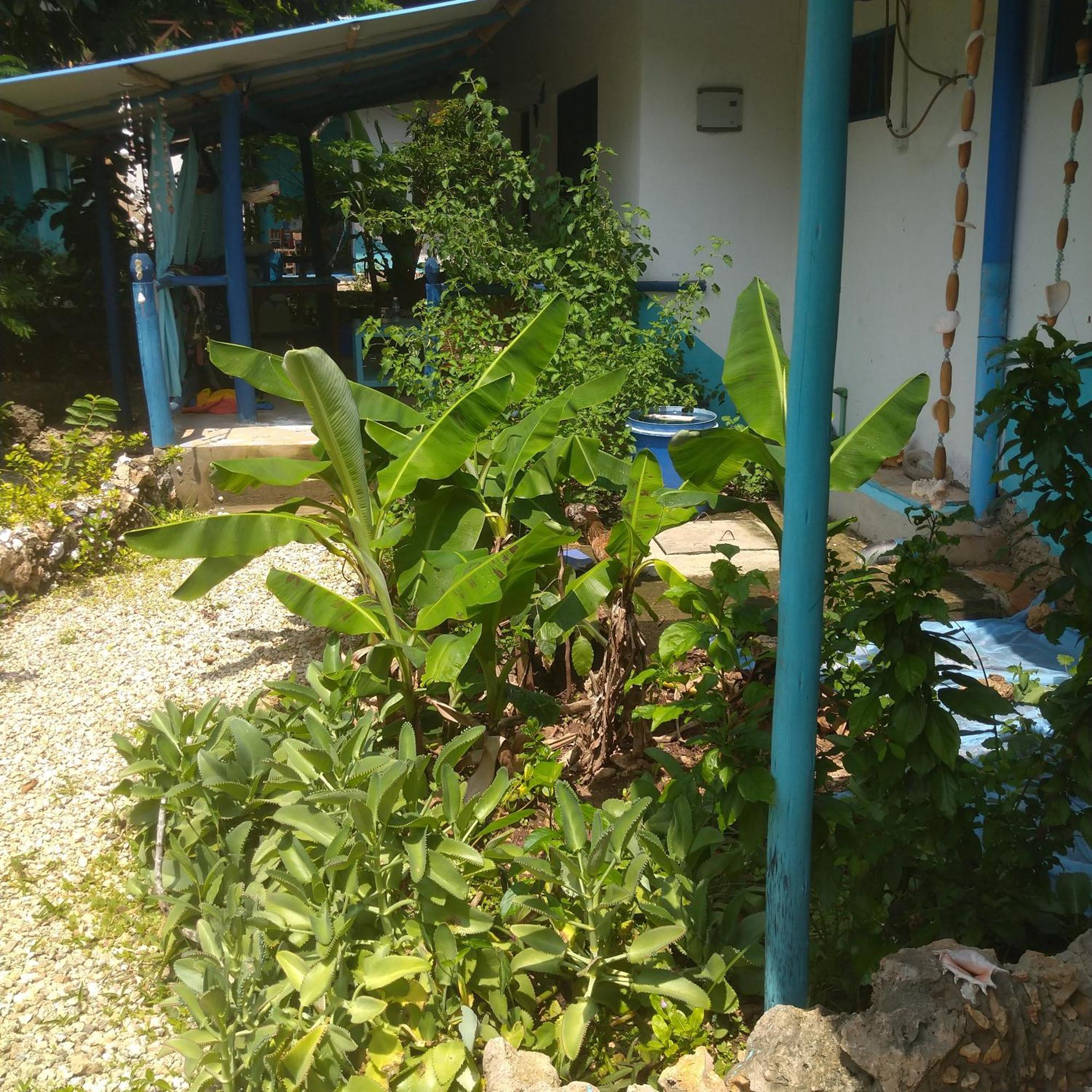 Furaha Bed & Breakfast