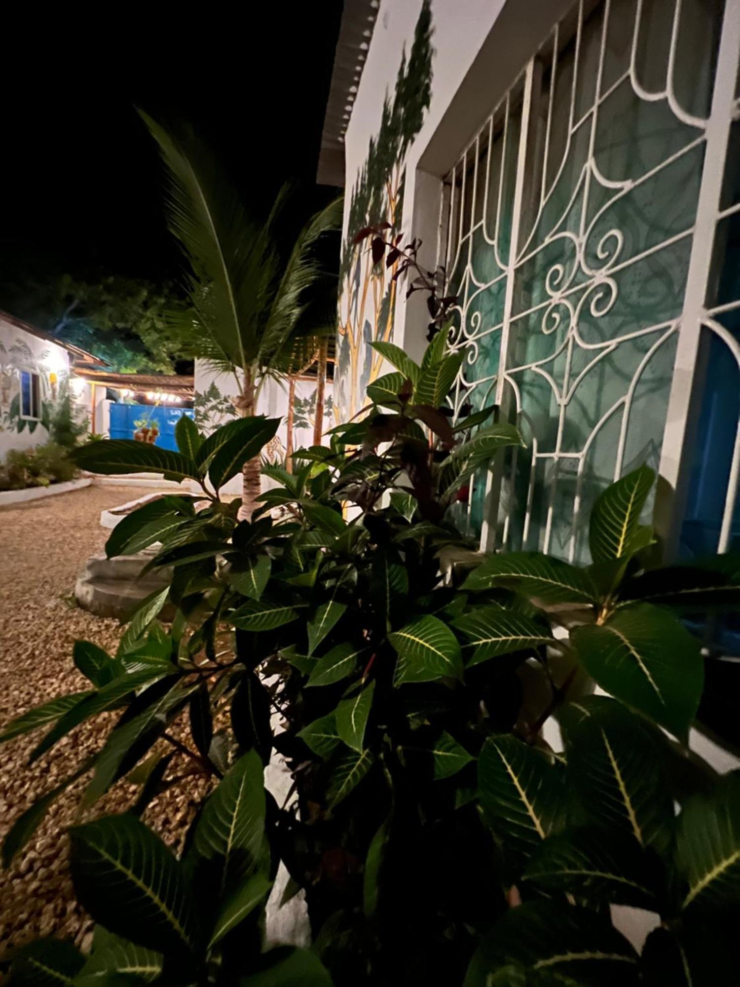 Guest house Wannas House