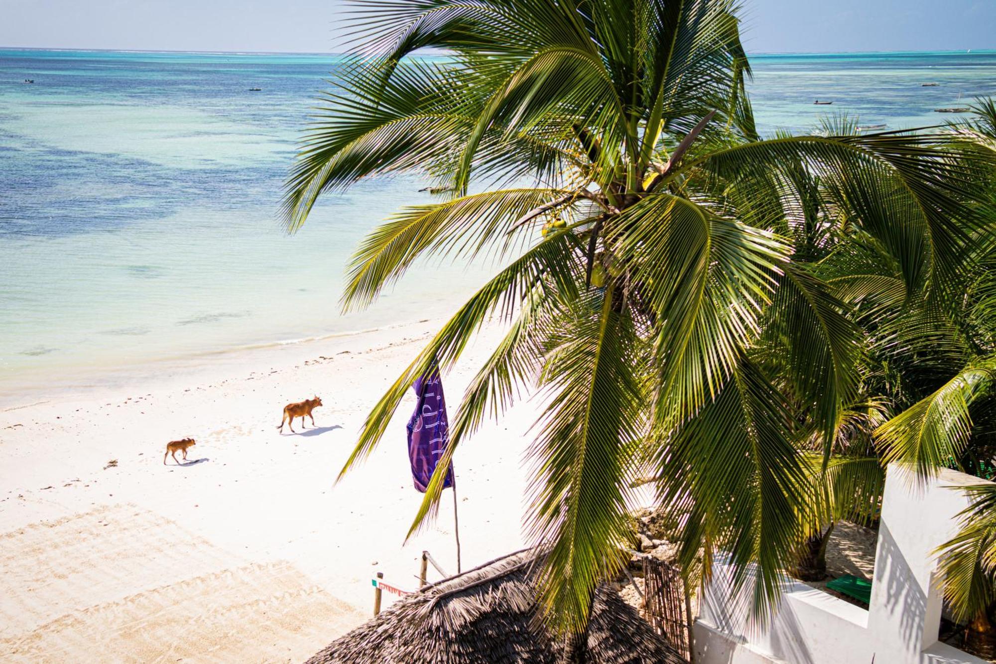 Hotel Sunrise Jambiani (Zanzibar)