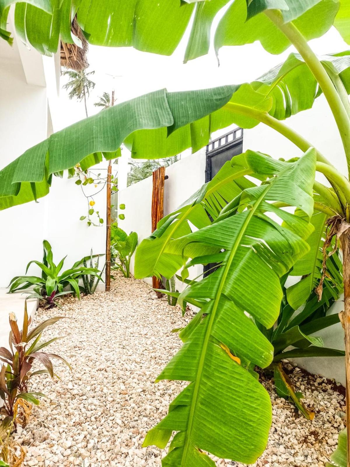 Appartement Tropical *