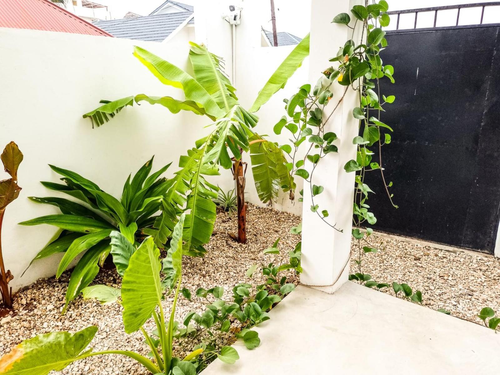 Tropical Appartement Jambiani (Zanzibar)