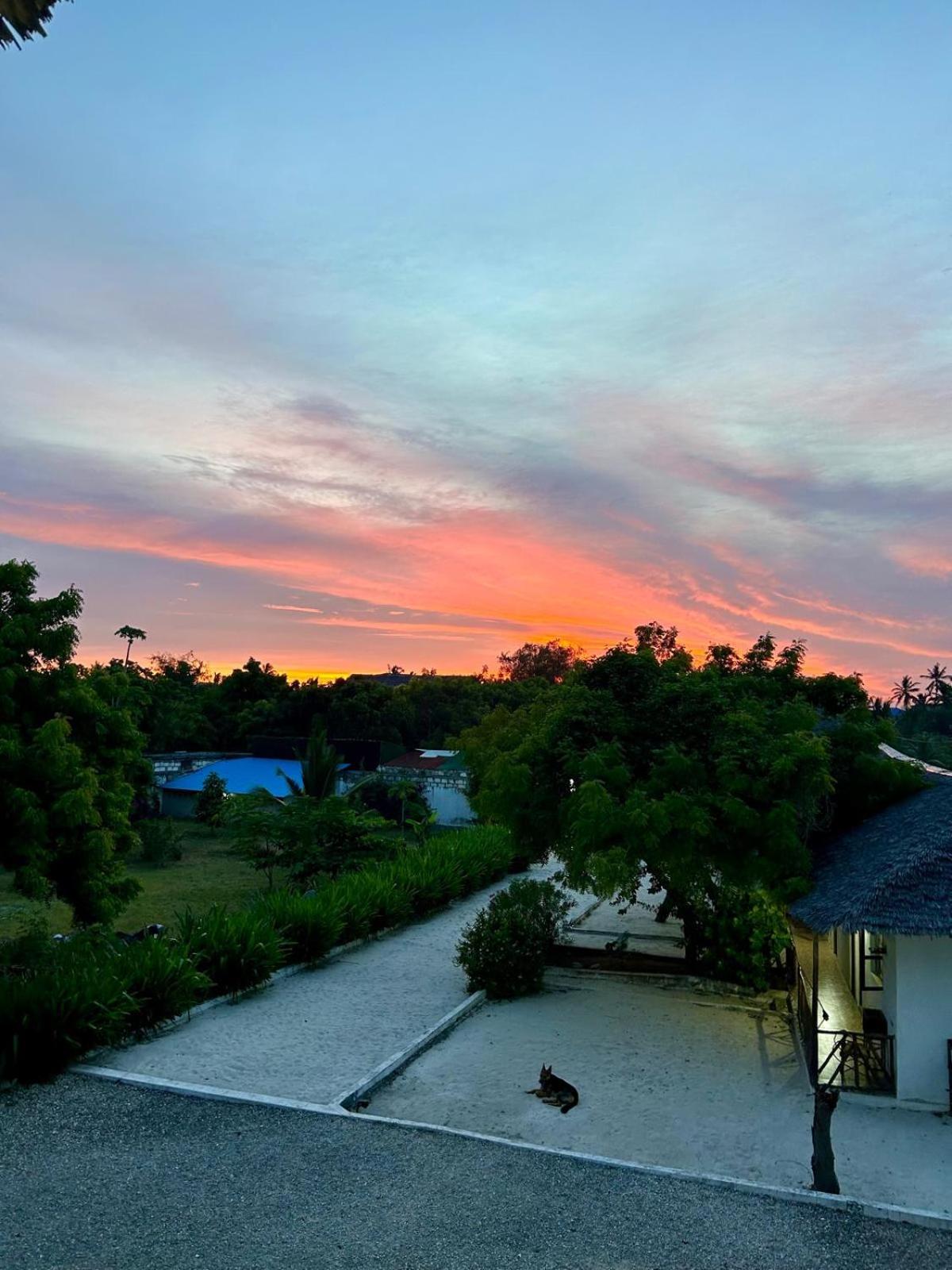 Shamba Hotel