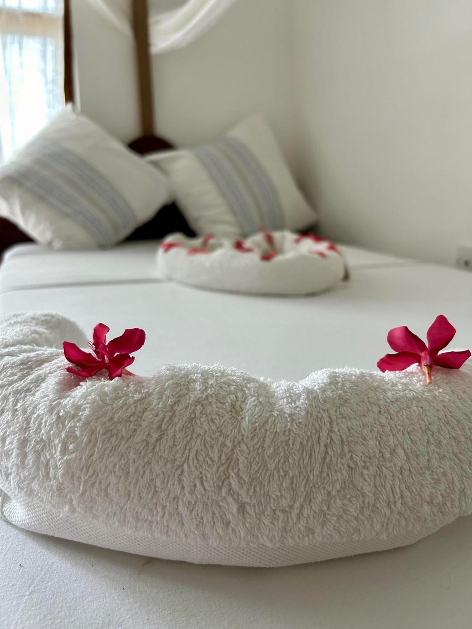 Hotel Shamba 2*