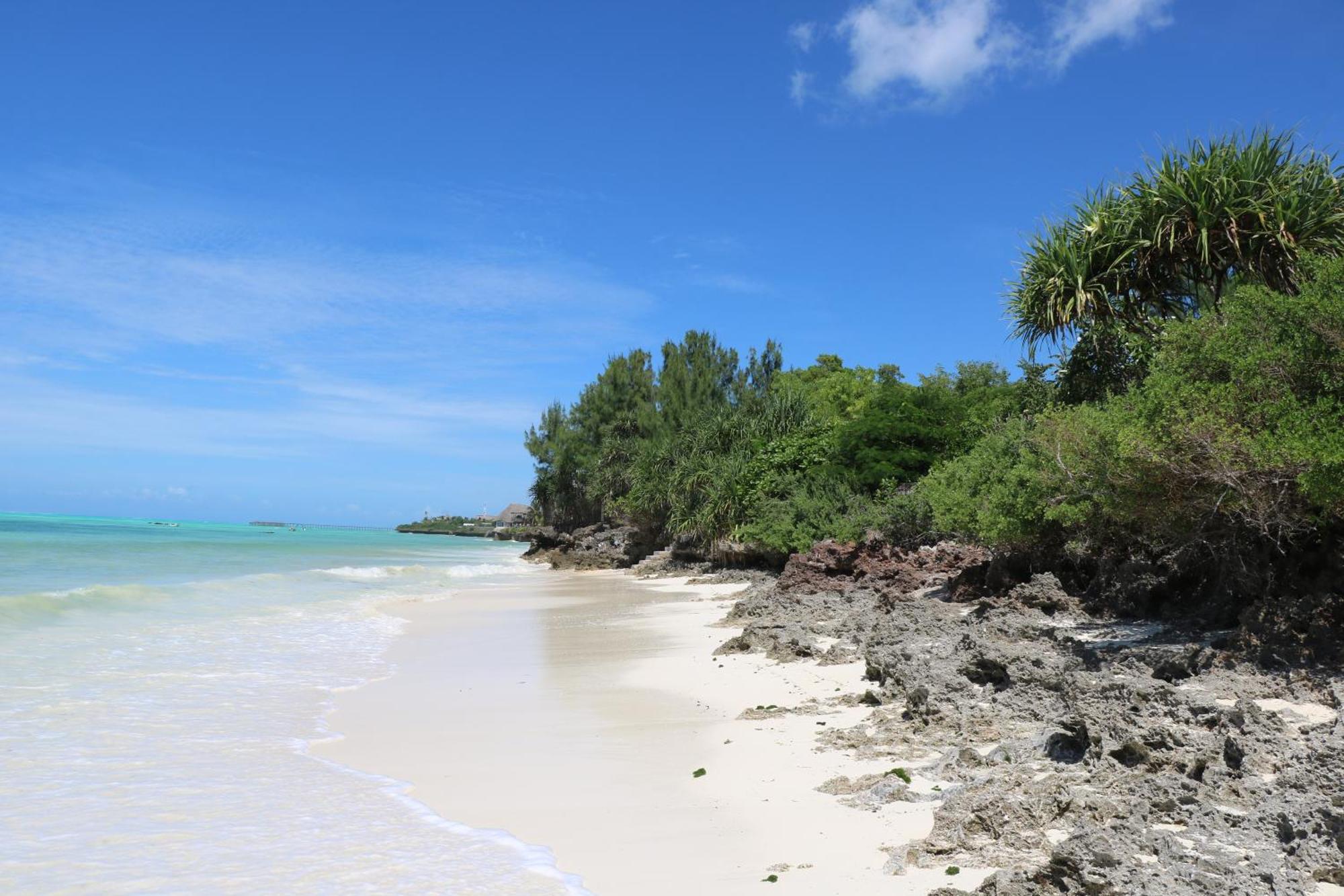 La Papaye Verte Apartment Jambiani (Zanzibar)