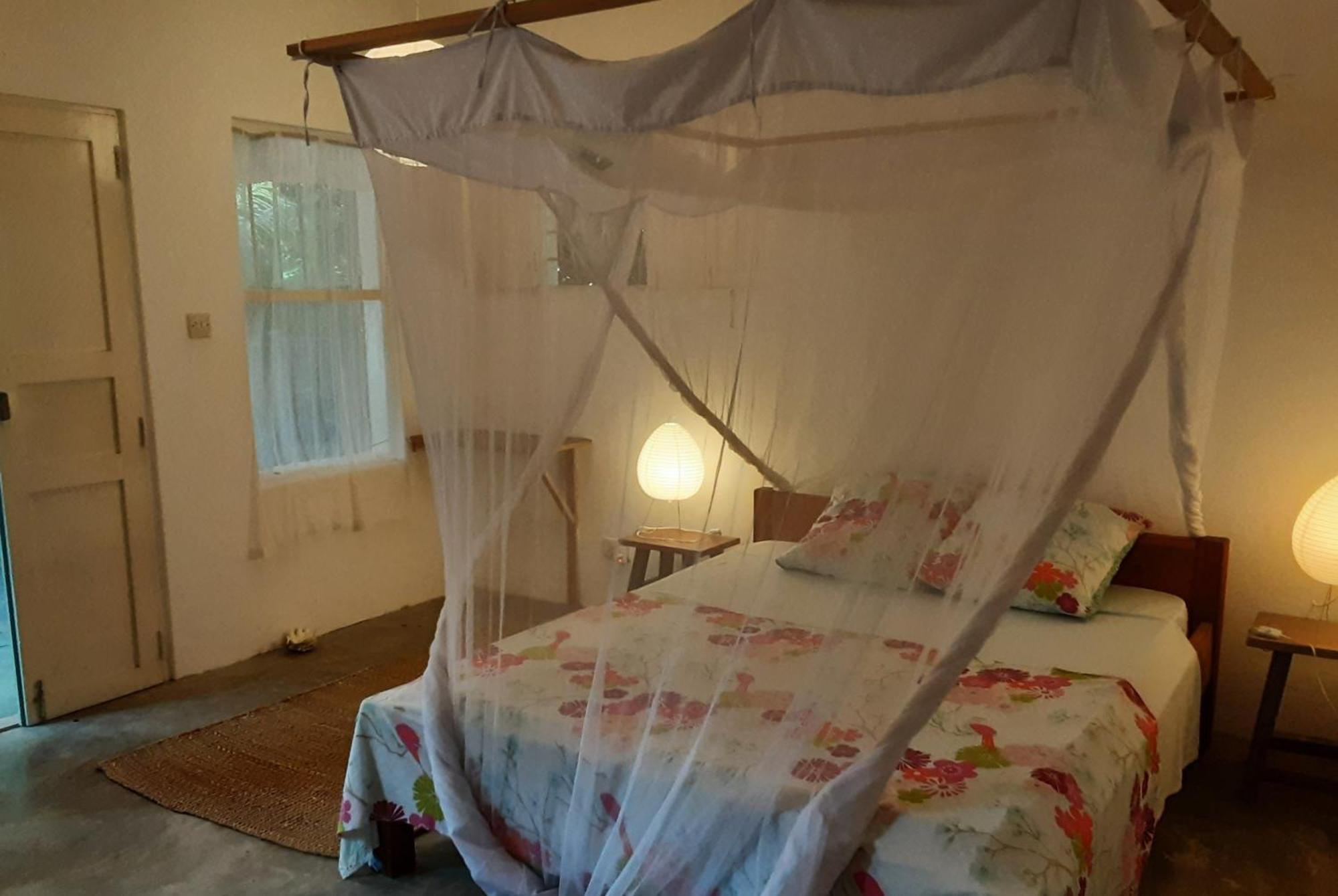 La Papaye Verte Jambiani (Zanzibar)