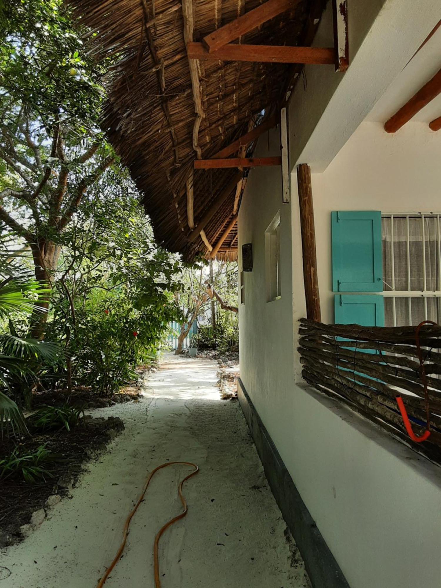 La Papaye Verte Jambiani (Zanzibar)