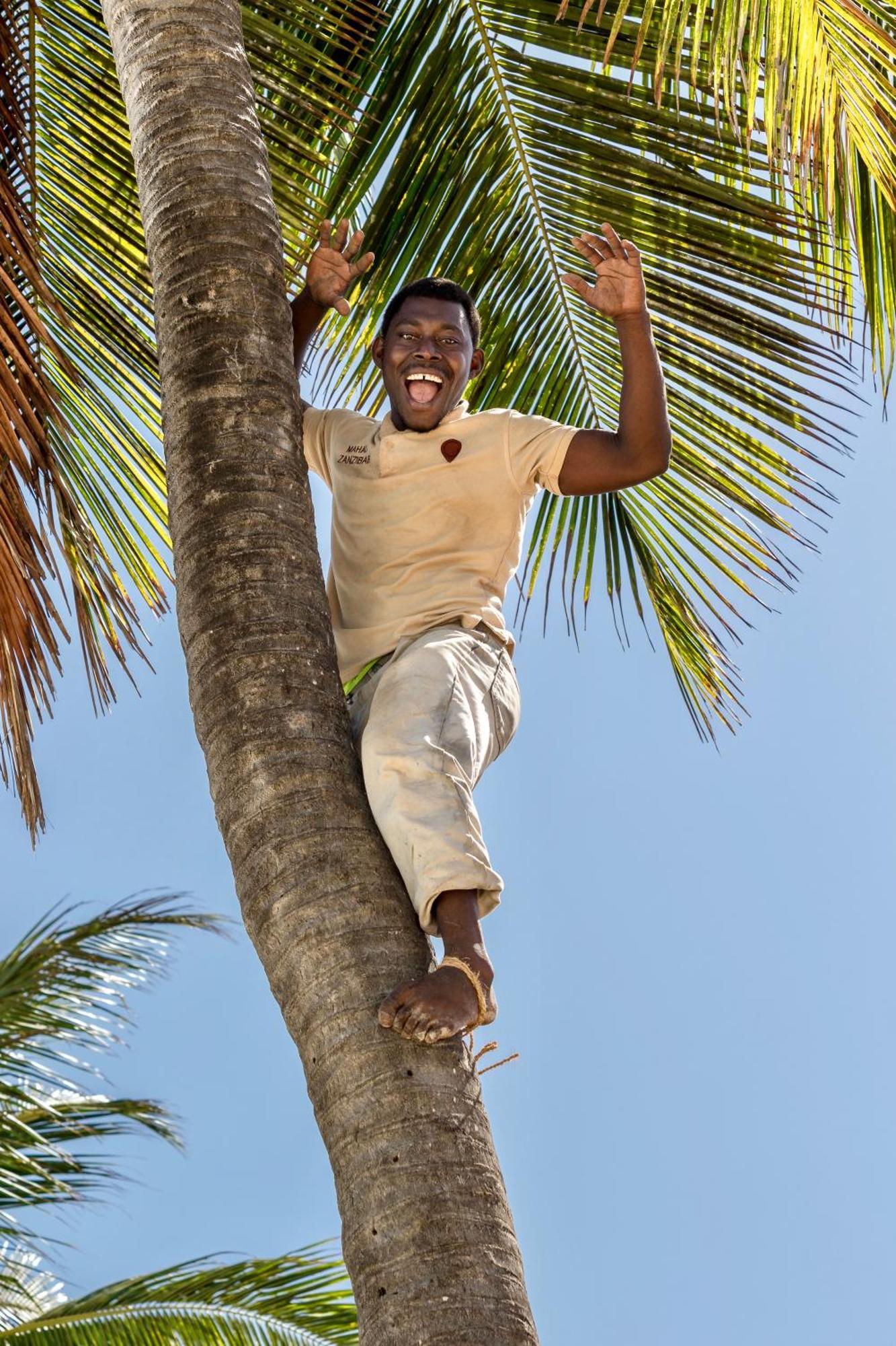 Mahali Zanzibar