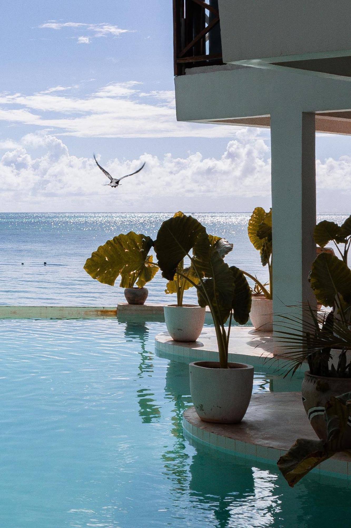 Hotel Pilipili Tropical