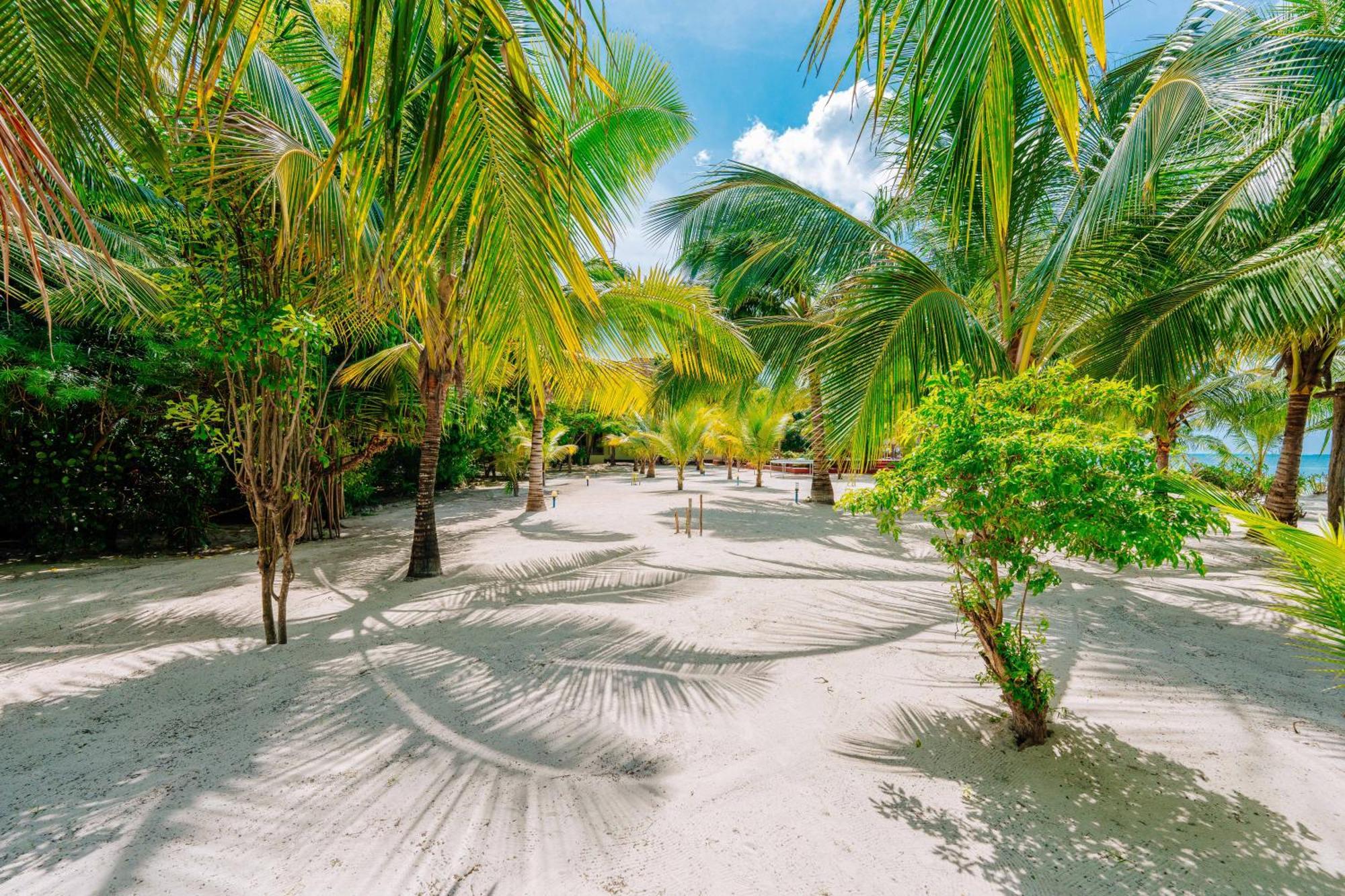 Hotel Ifa Jambiani (Zanzibar)