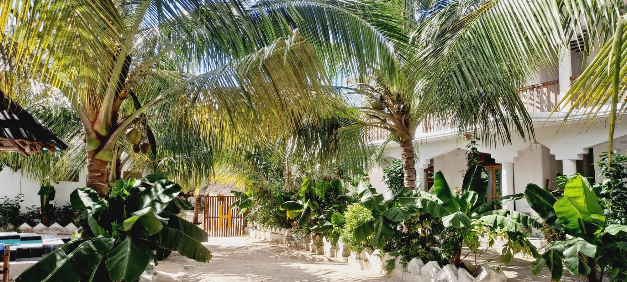 The New Blue Waves Bed & Breakfast 2*