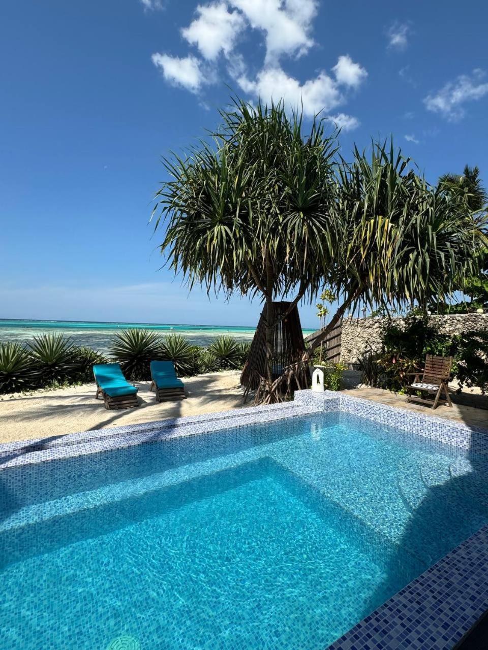 Bitcoin Zanzibar Hotel Michamvi