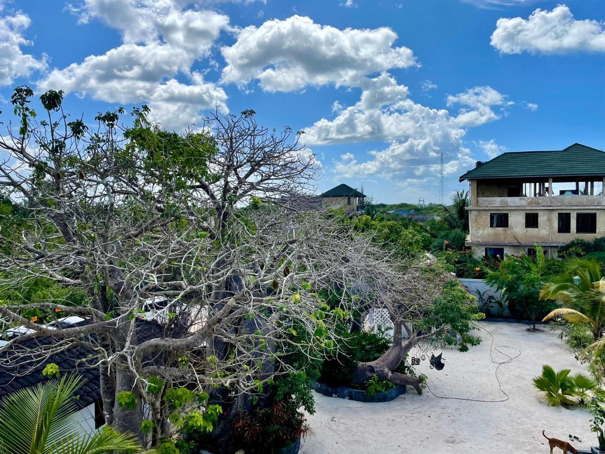 Apartment Baobab