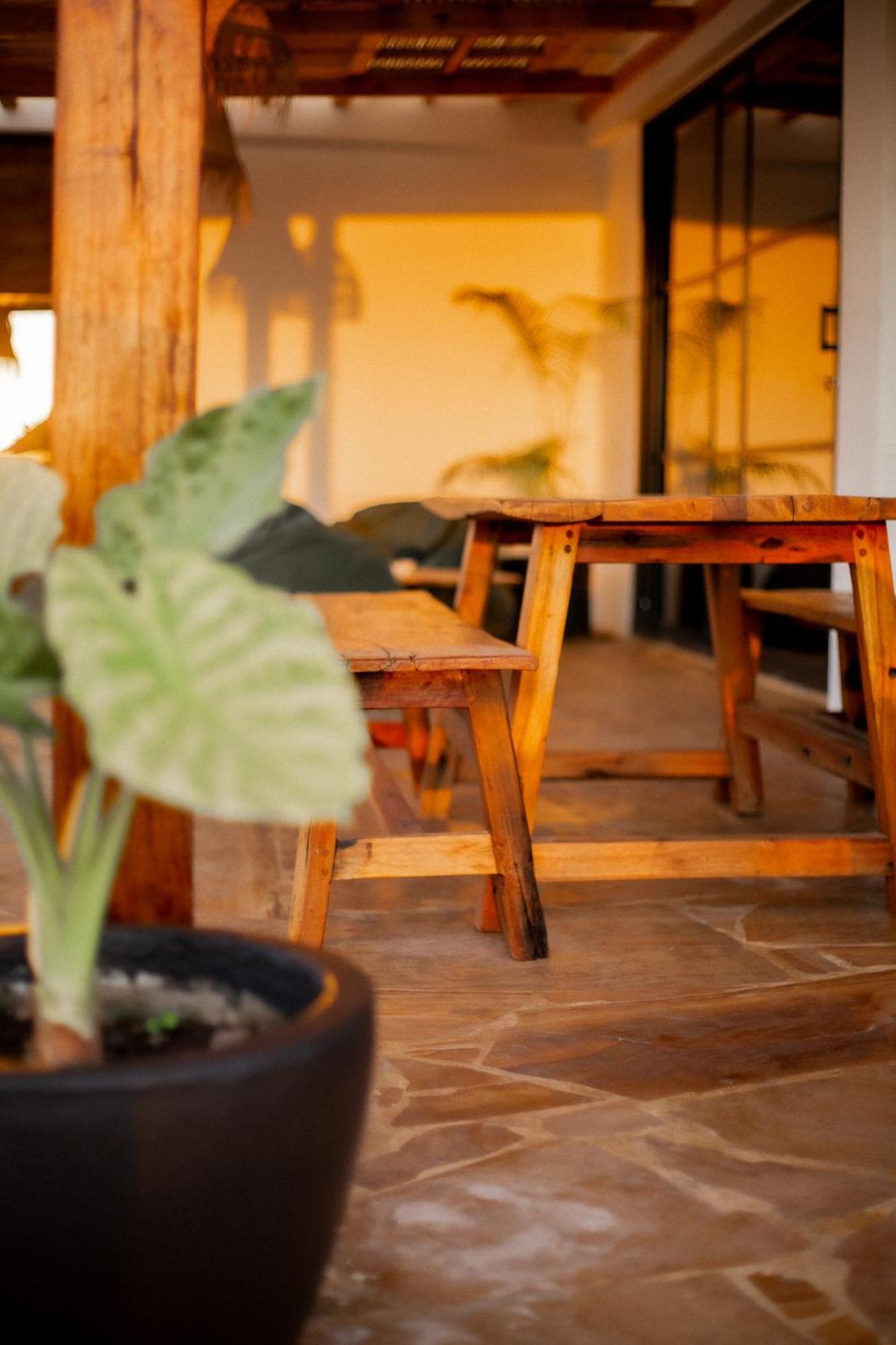 Zanzibarista Villa *