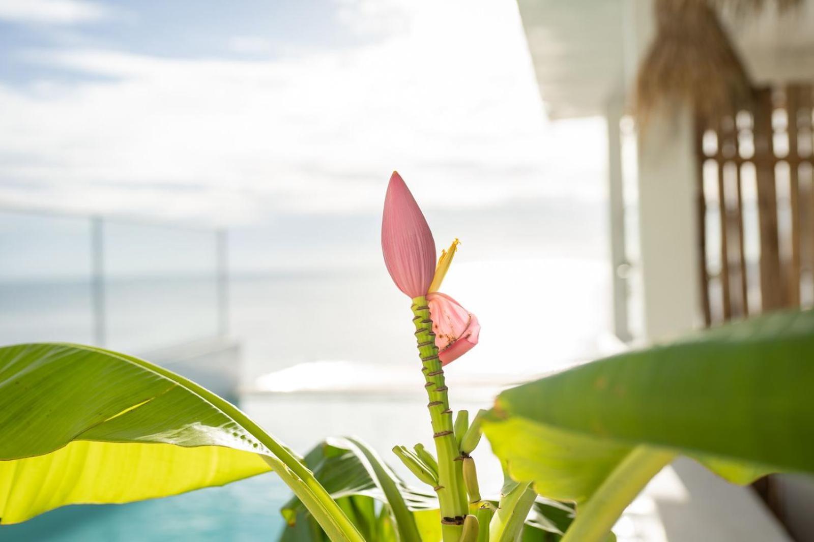 Sunrise Hotel 4*