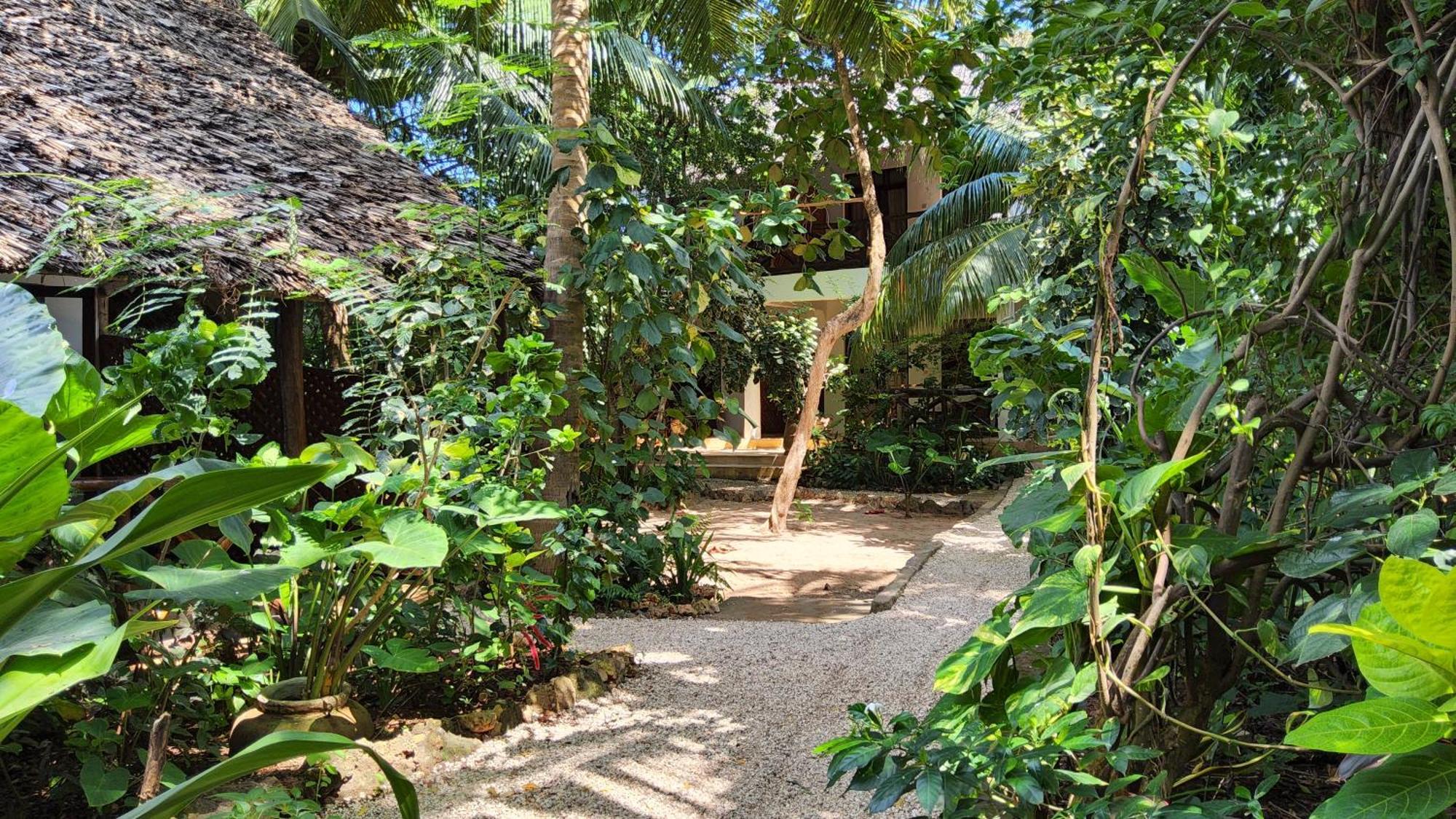 Atii Garden 2* Nungwi