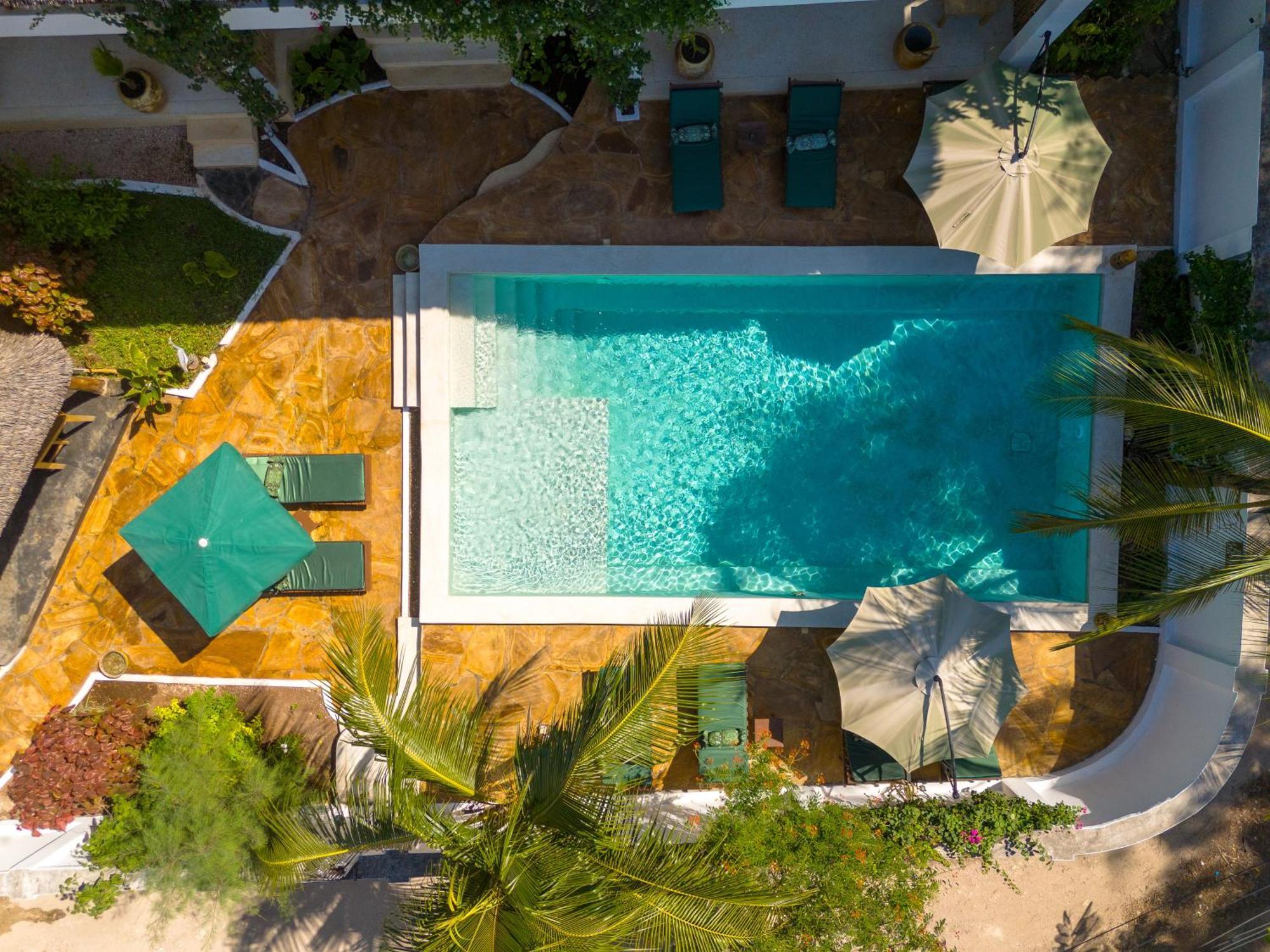 Daima * Jambiani (Zanzibar)
