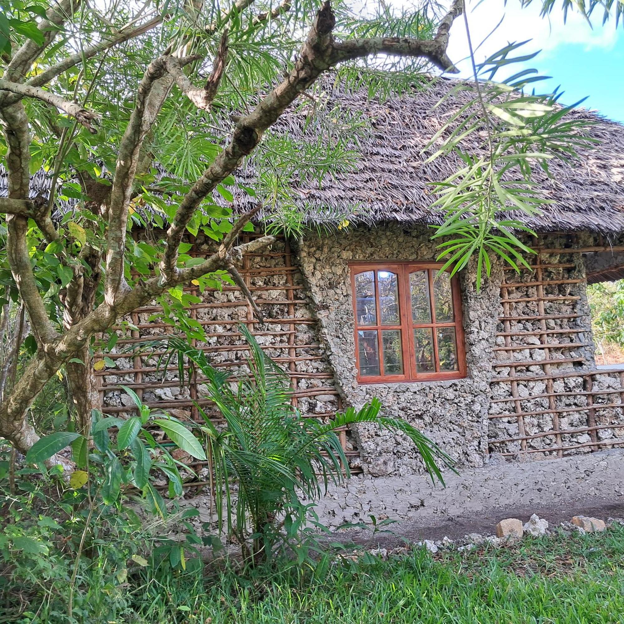 Lodge Jozanibiospherevillage Jozani