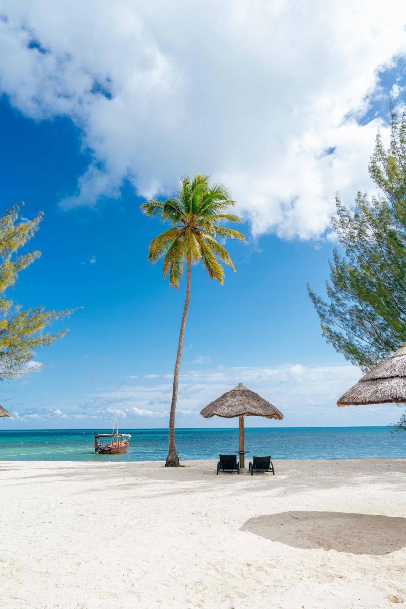 The Zanzibar Kizimkazi