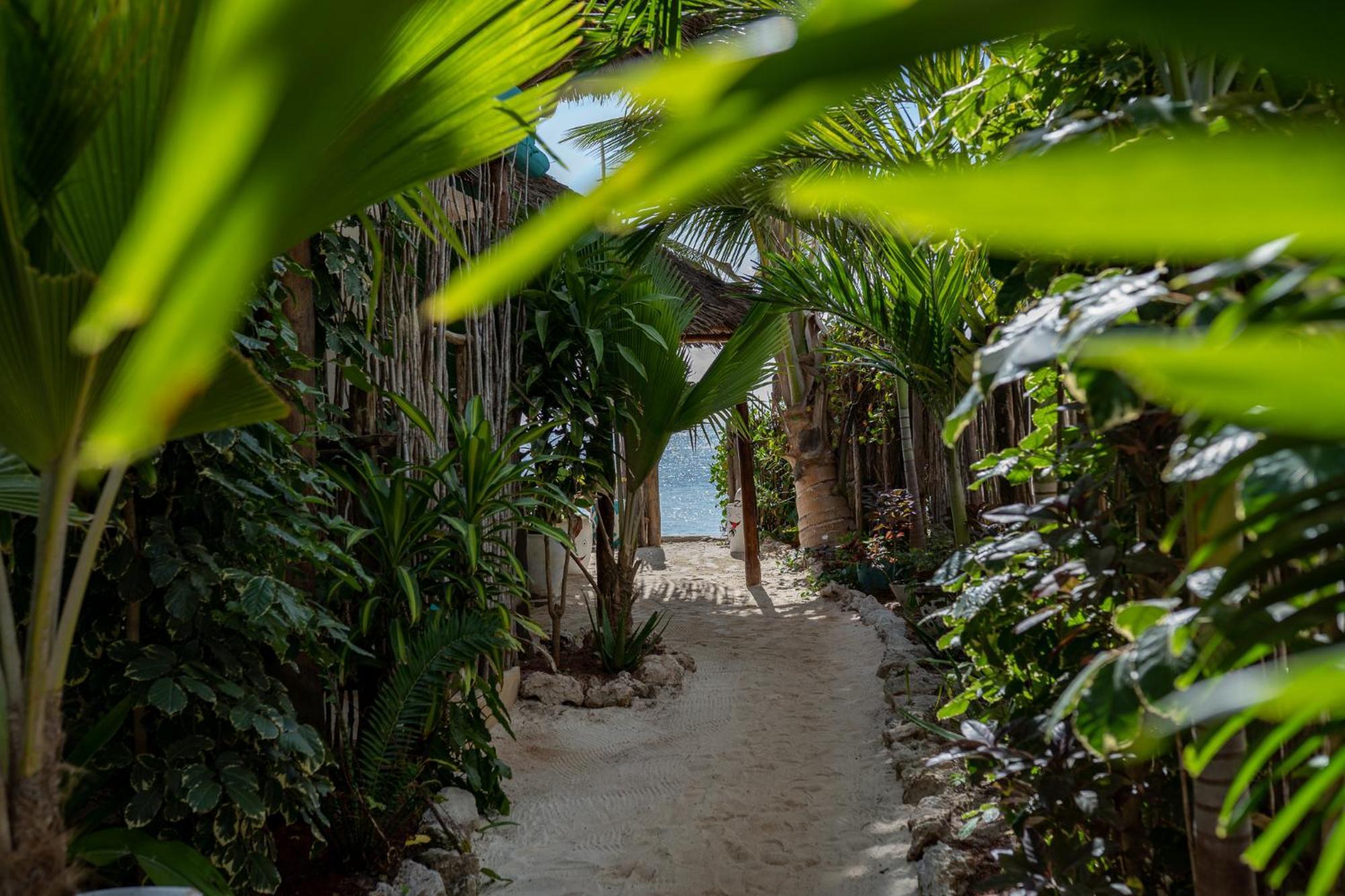 Hotel Pili Pili Jambiani (Zanzibar)