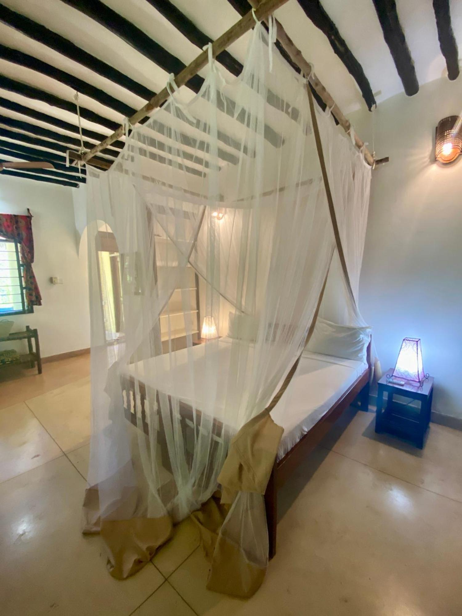 Hotel Mangrove 3*
