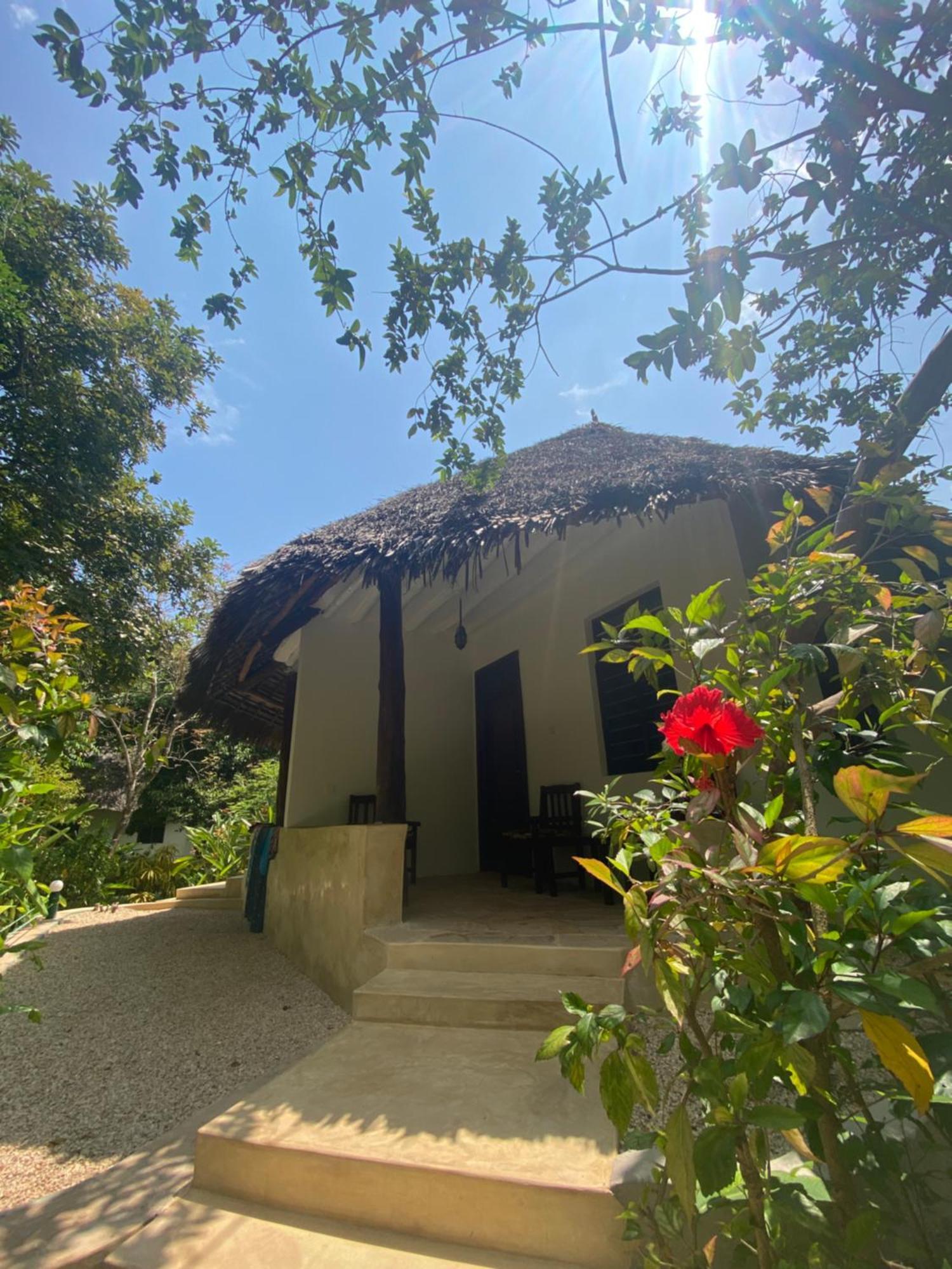 Hotel Mangrove Zanzibar