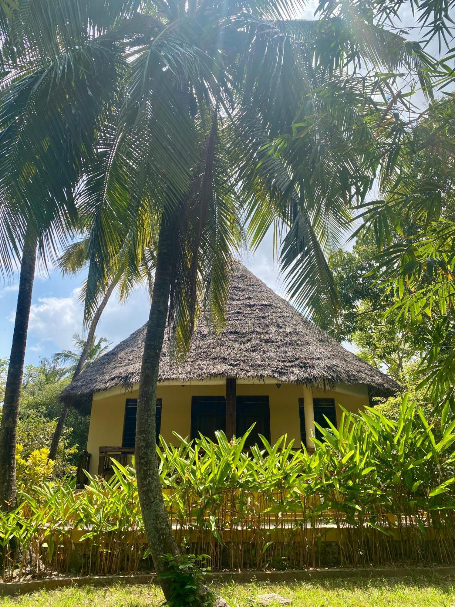 Mangrove Hotel Zanzibar