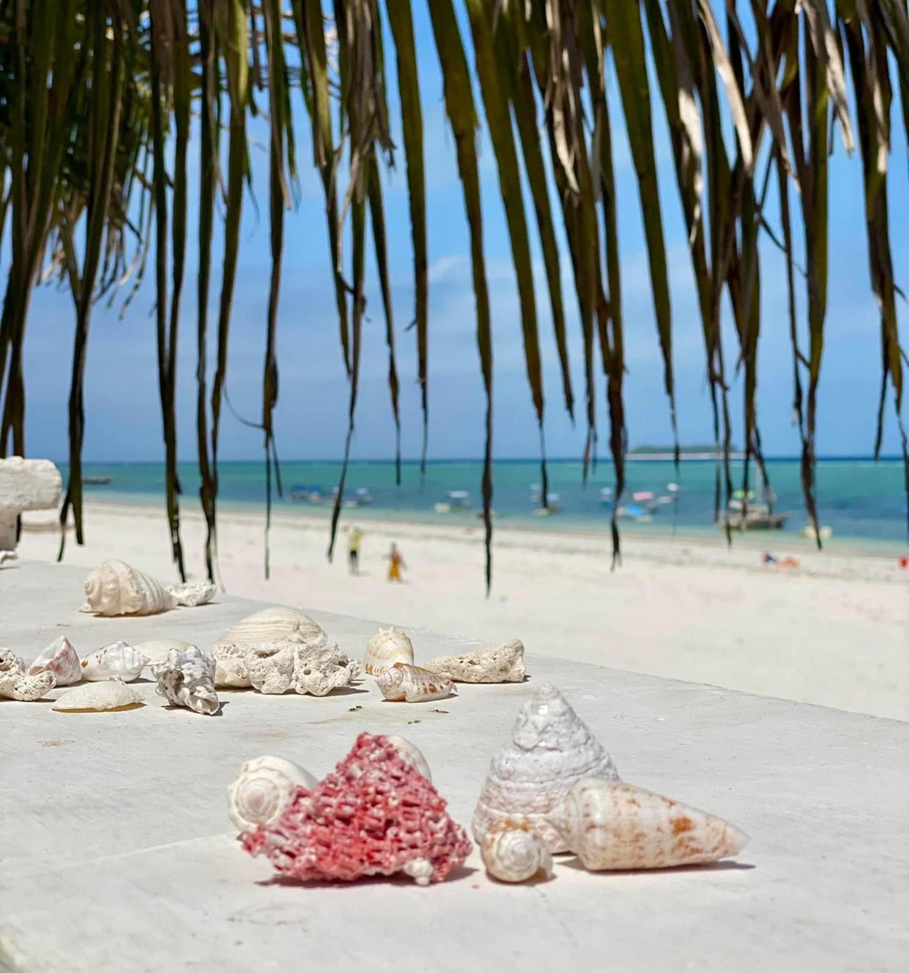 Mambo Paradise Hotel 4*