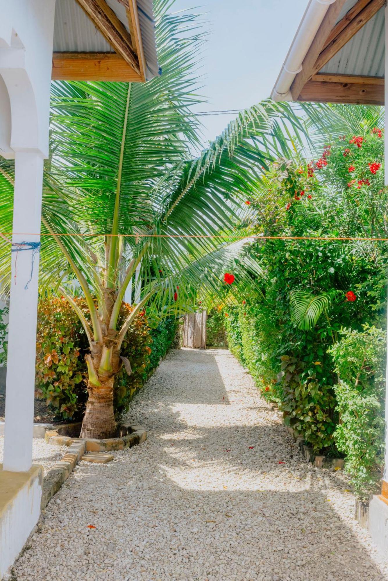 R Zanzibar Paje