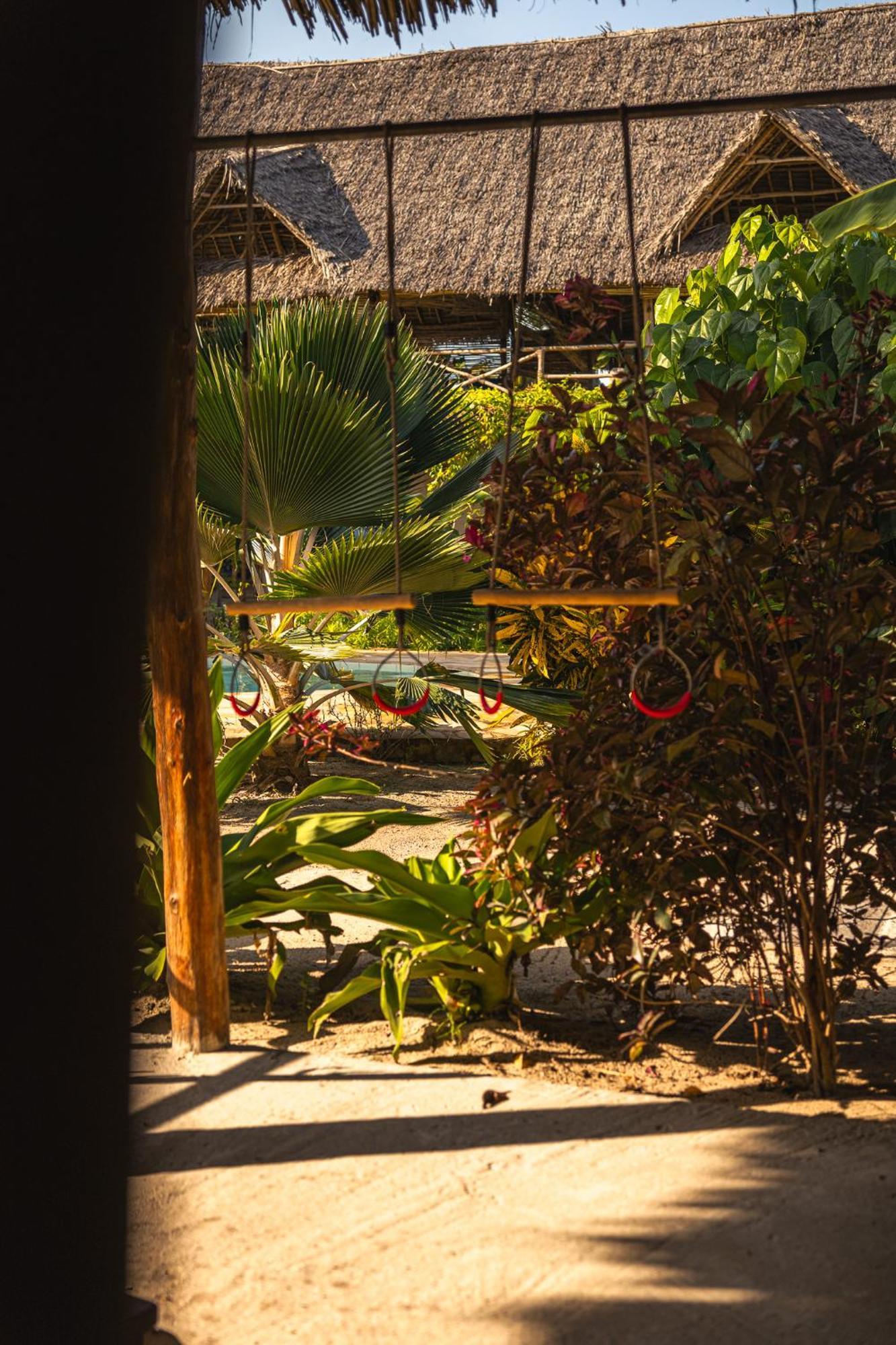 The Garden