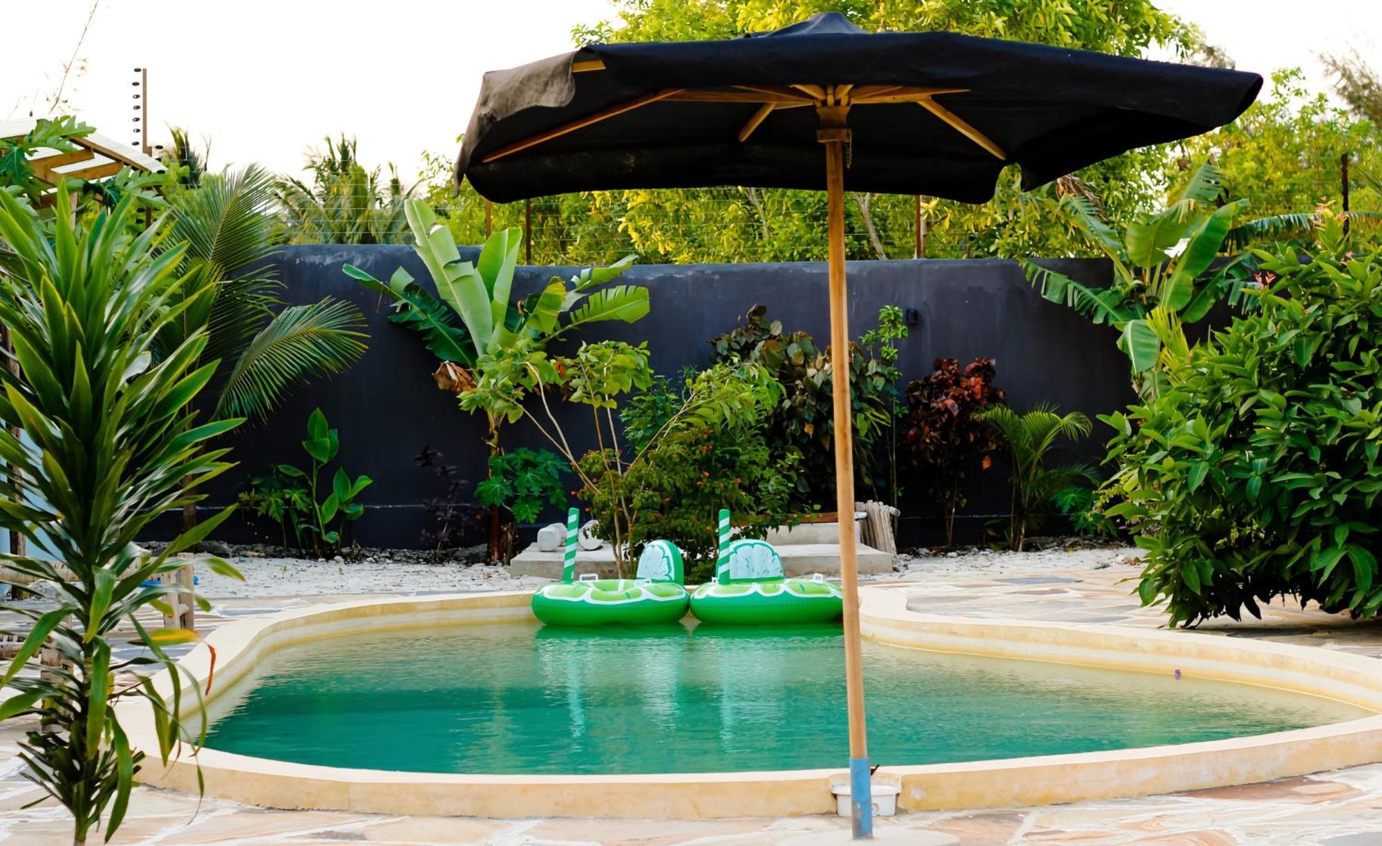 Jungle - Pool With Tropical Garden
