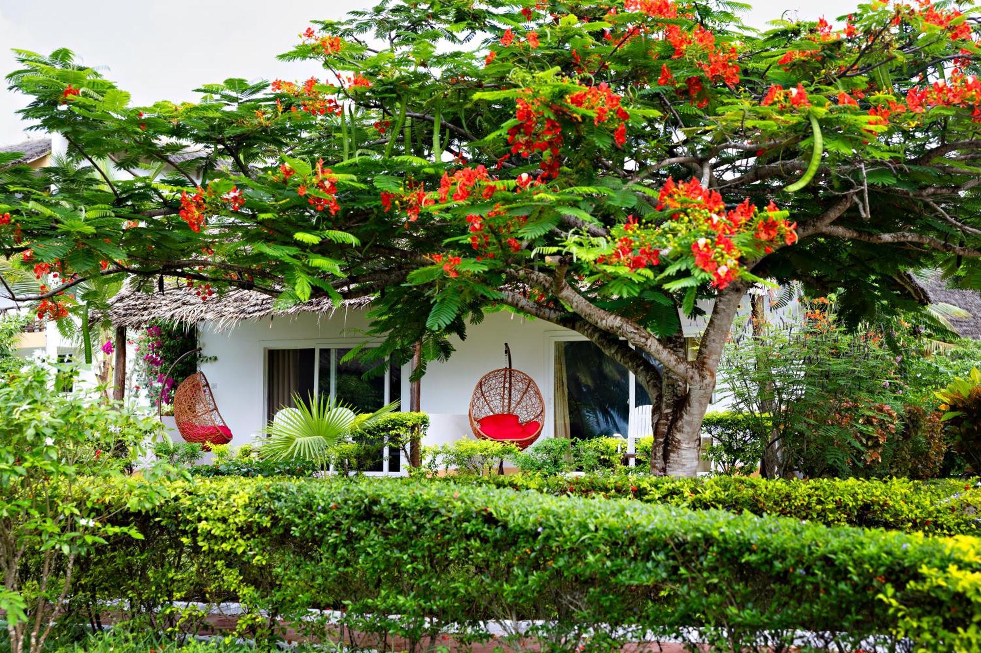 Resort Tanzanite 3*