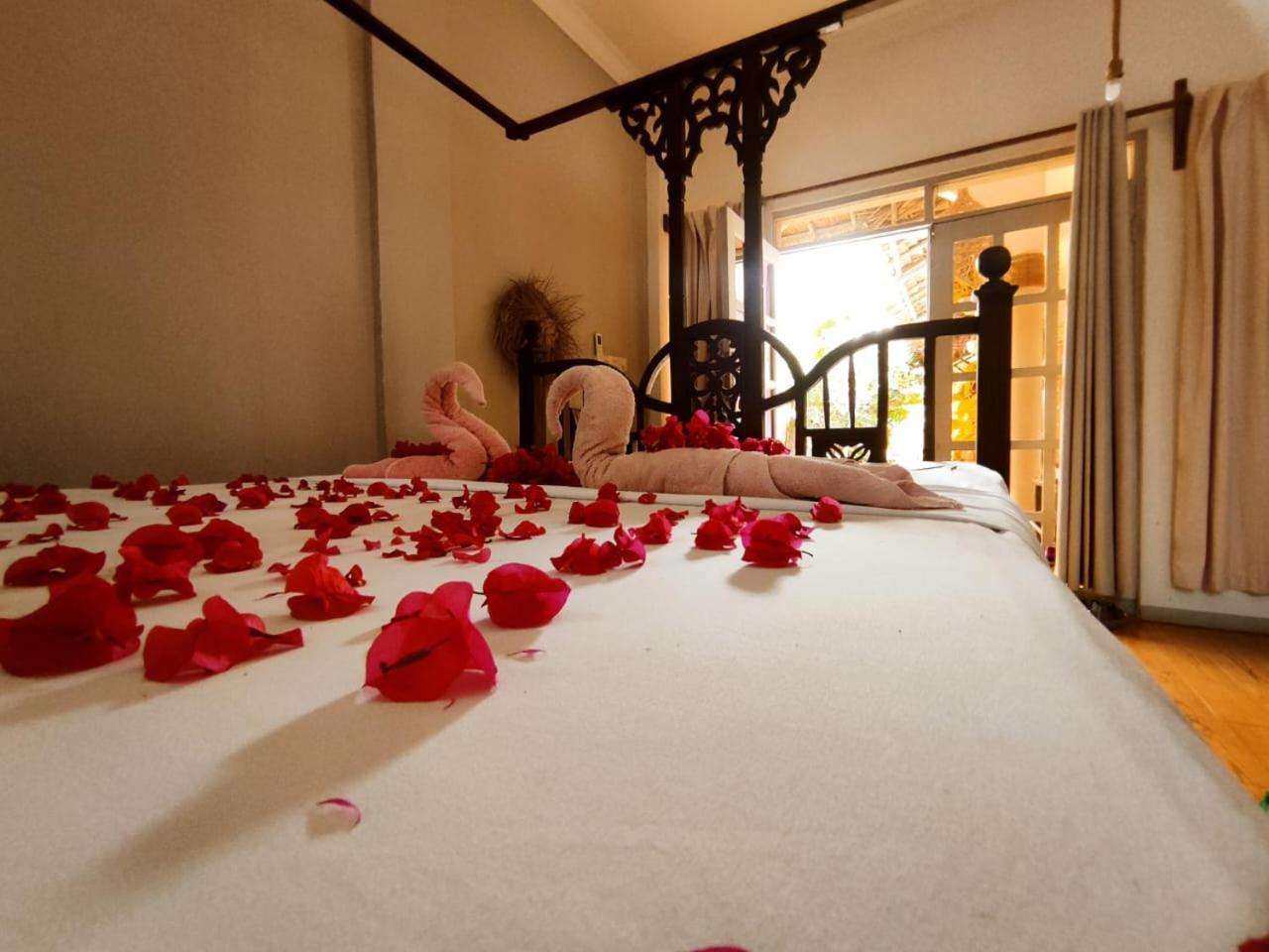 Lodge Roses *