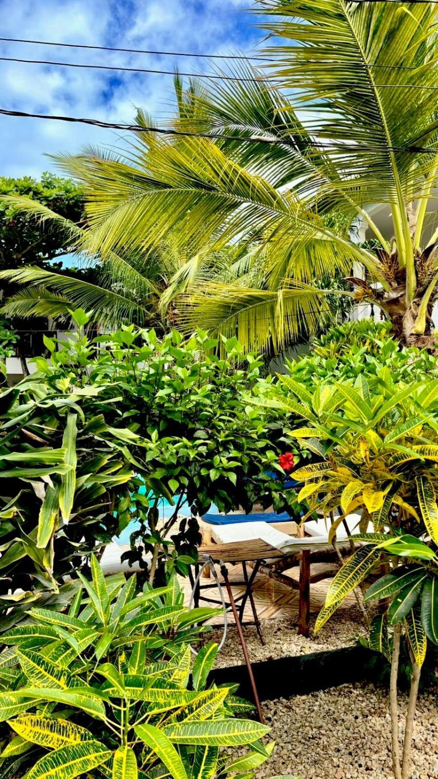 Kilimanjaro Bed & Breakfast