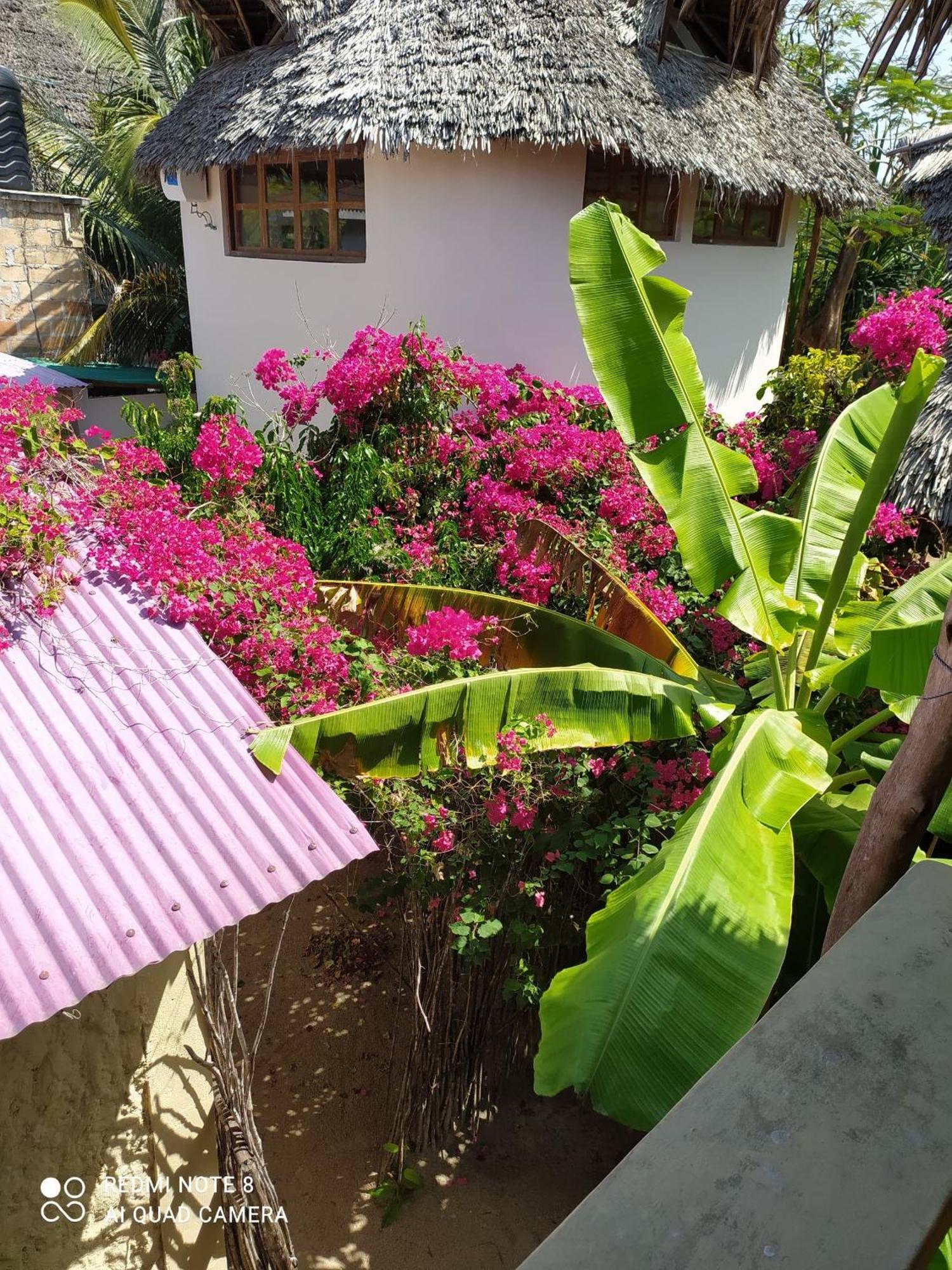 Uhuru Art House Bed & Breakfast *