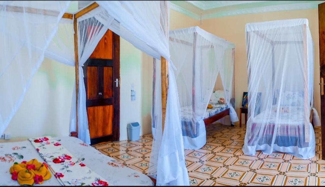 Hotel Saba House 24 *