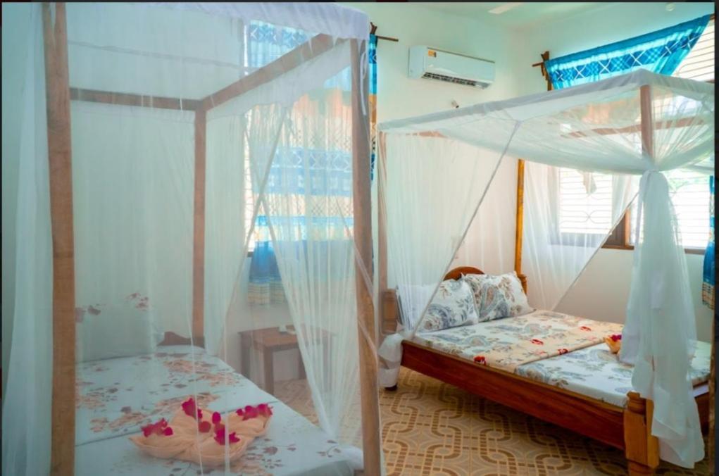 Saba House 24 Hotel Paje