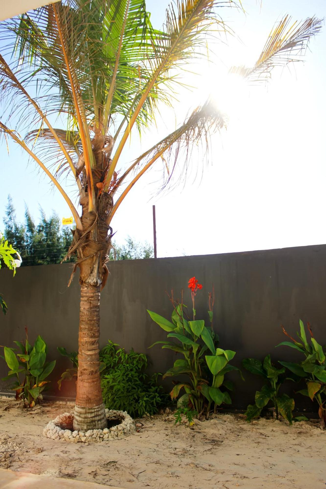 Jungle - Pool With Tropical Garden Paje