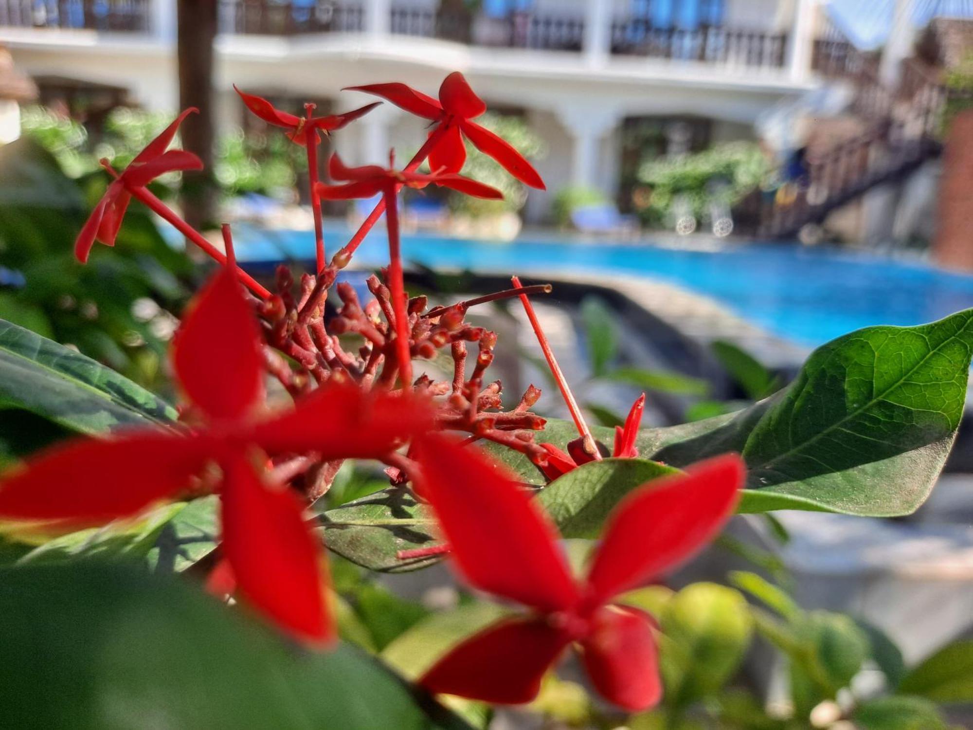 The New Blue Waves Bed & Breakfast Jambiani (Zanzibar)