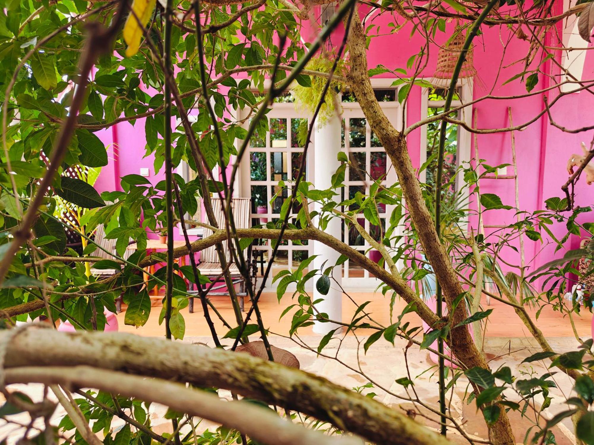 Lodge Roses Nungwi