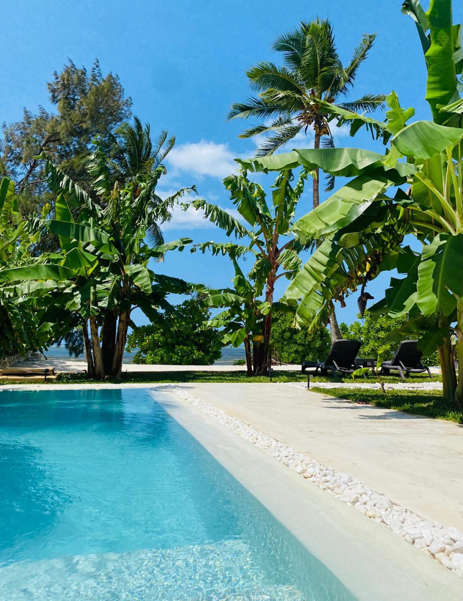 Luxury Lions Zanzibar - With Private Cook&infinity Pools Villa