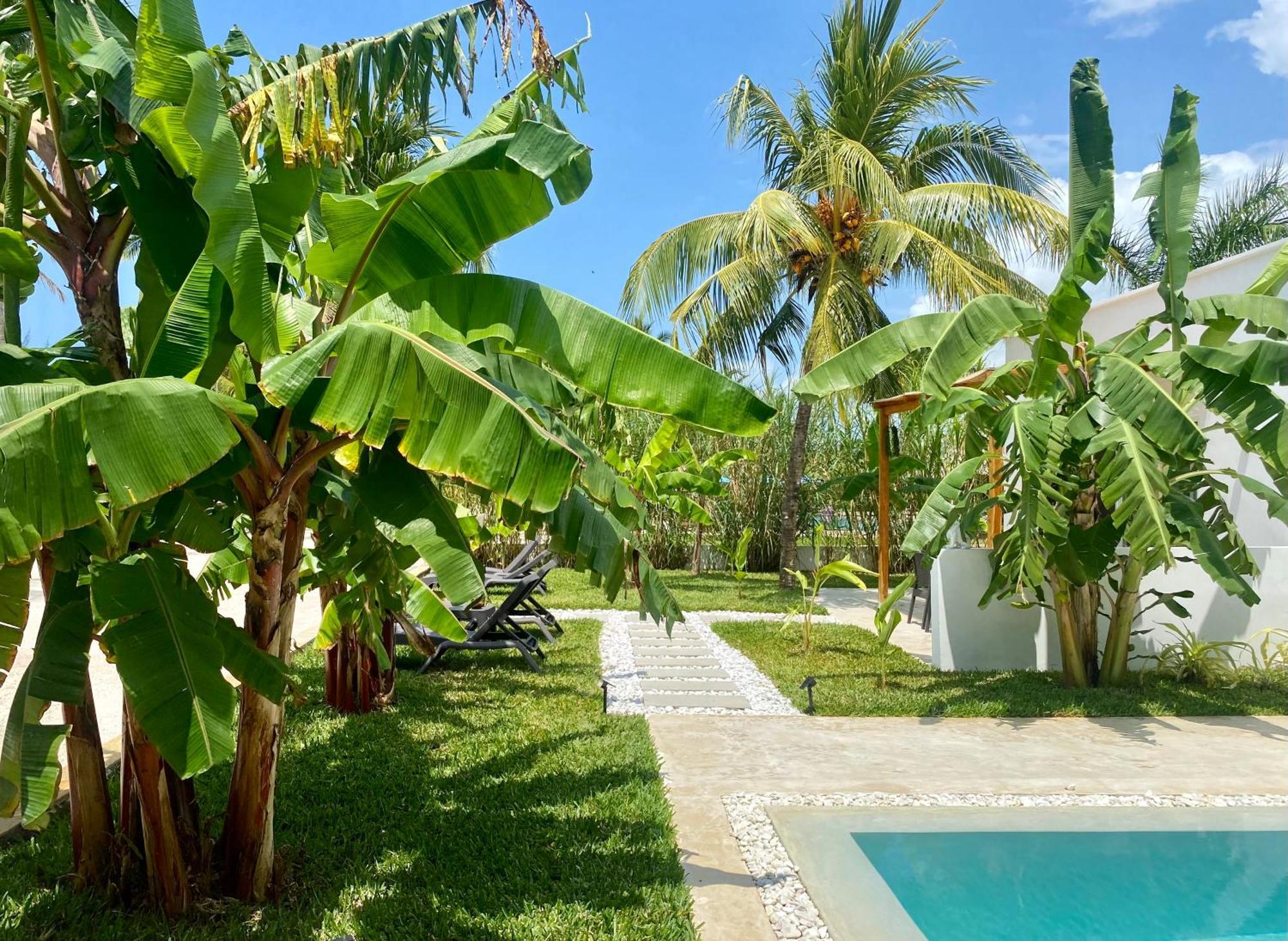 Villa Luxury Lions Zanzibar - With Private Cook&infinity Pools Kiwengwa (Zanzibar)